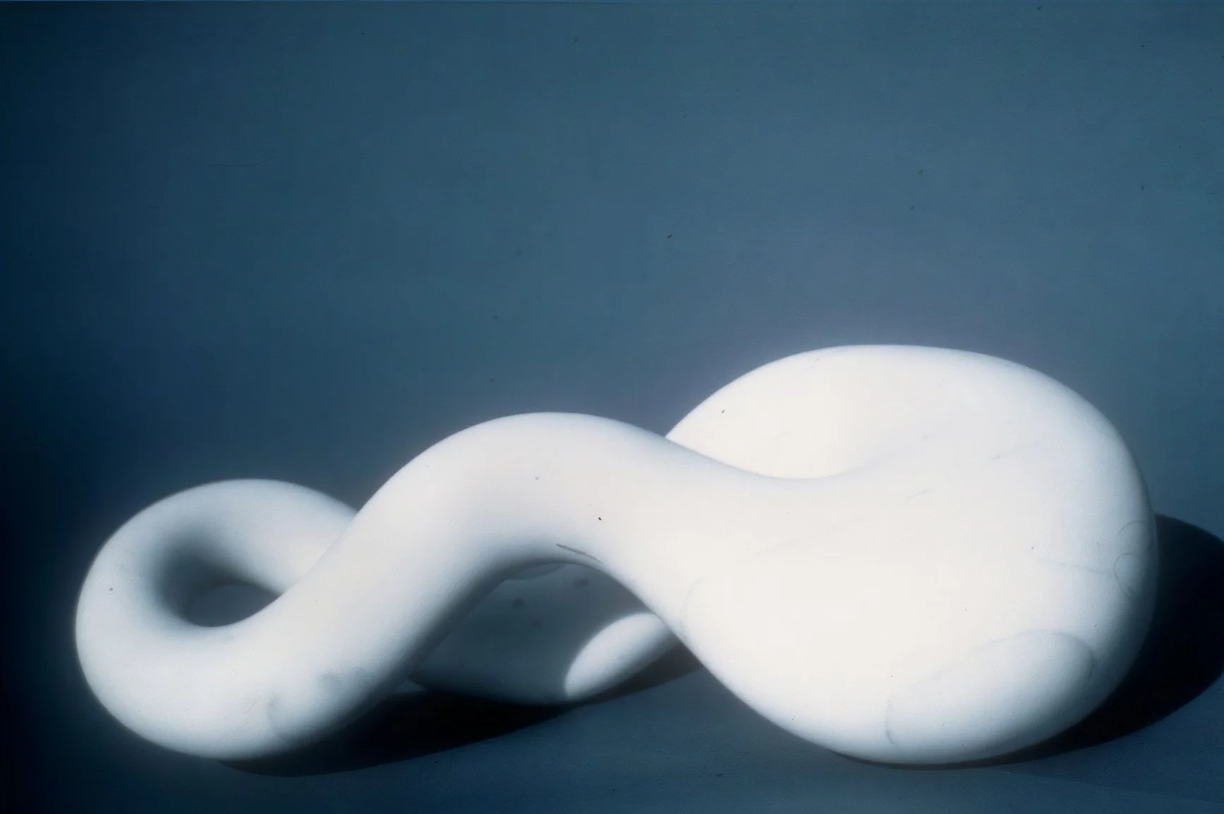 White Sea Form