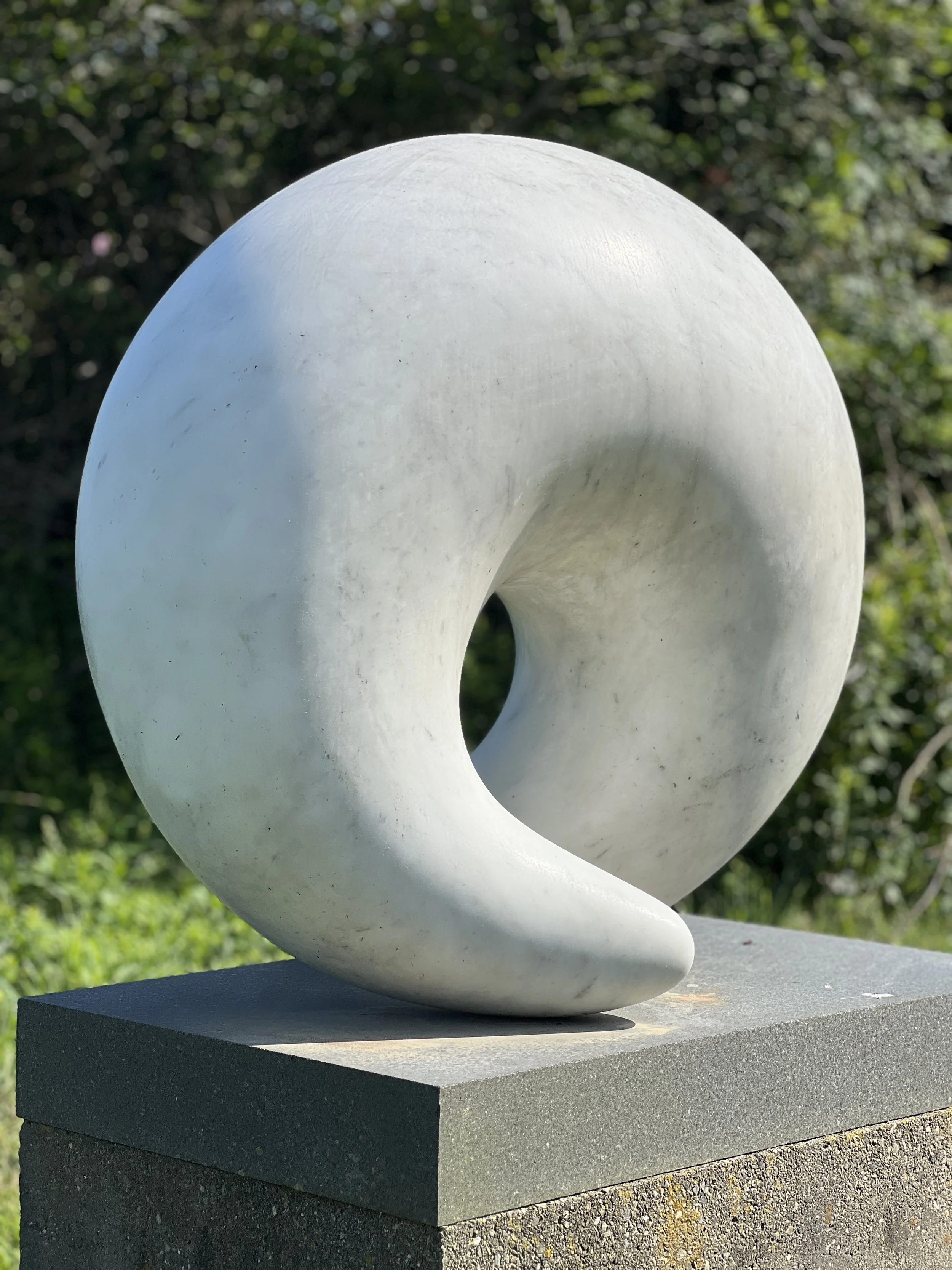96278E45-3972-4DE4-BB5A-C015B546671E.jpeg