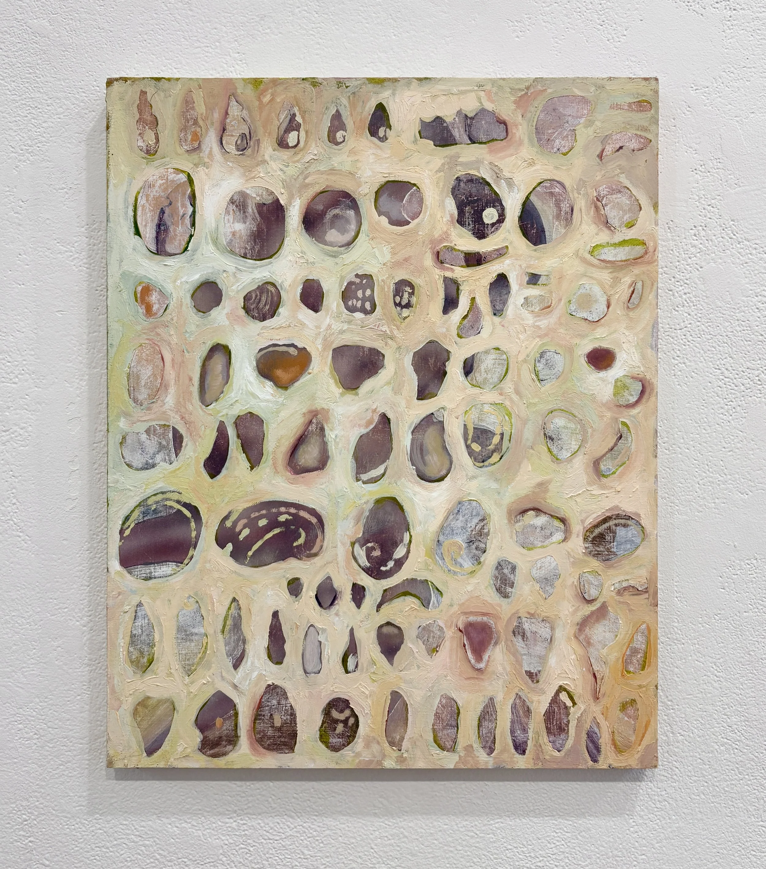 shells and other secrets, 2025