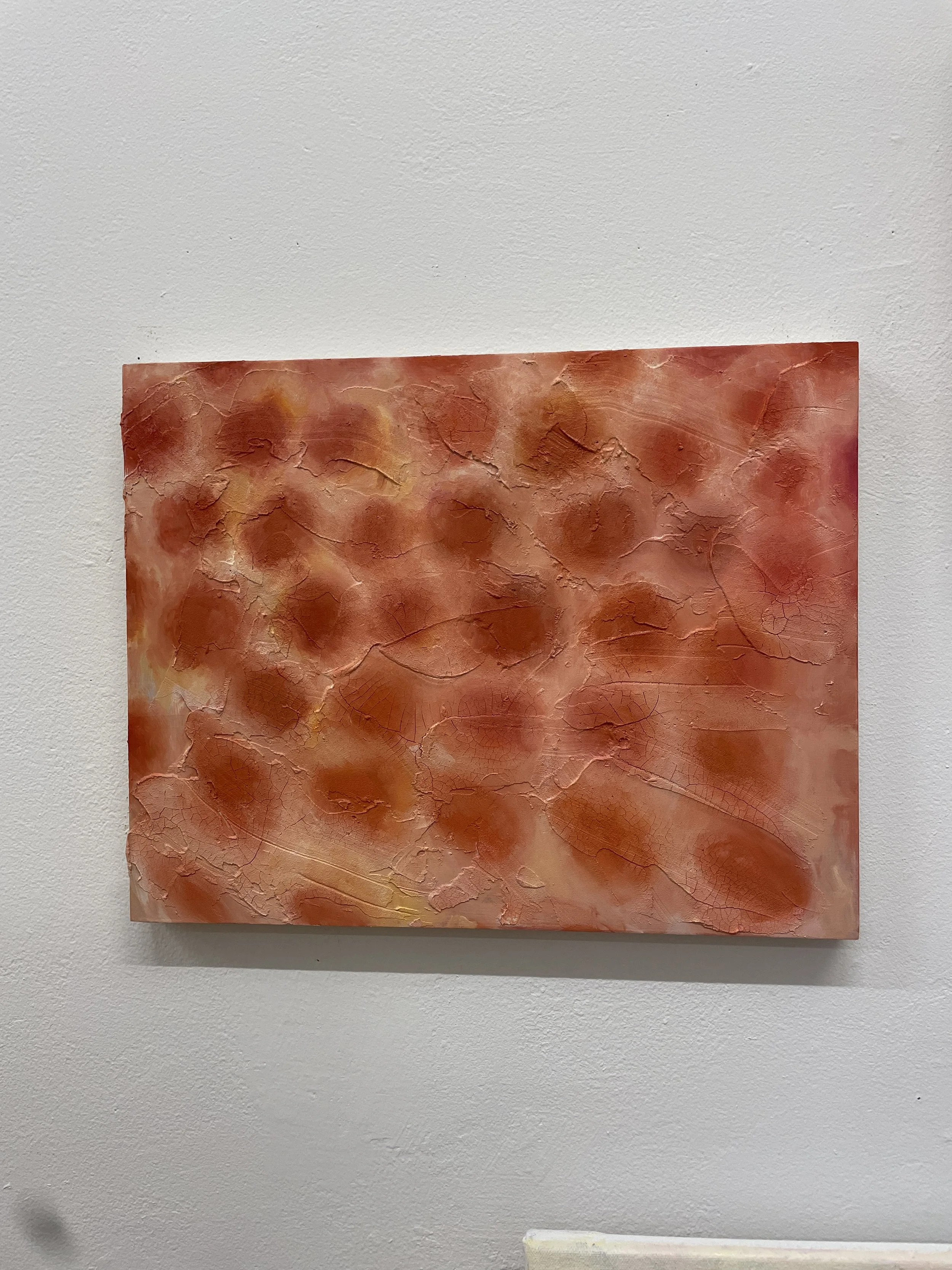 texture study, 2024