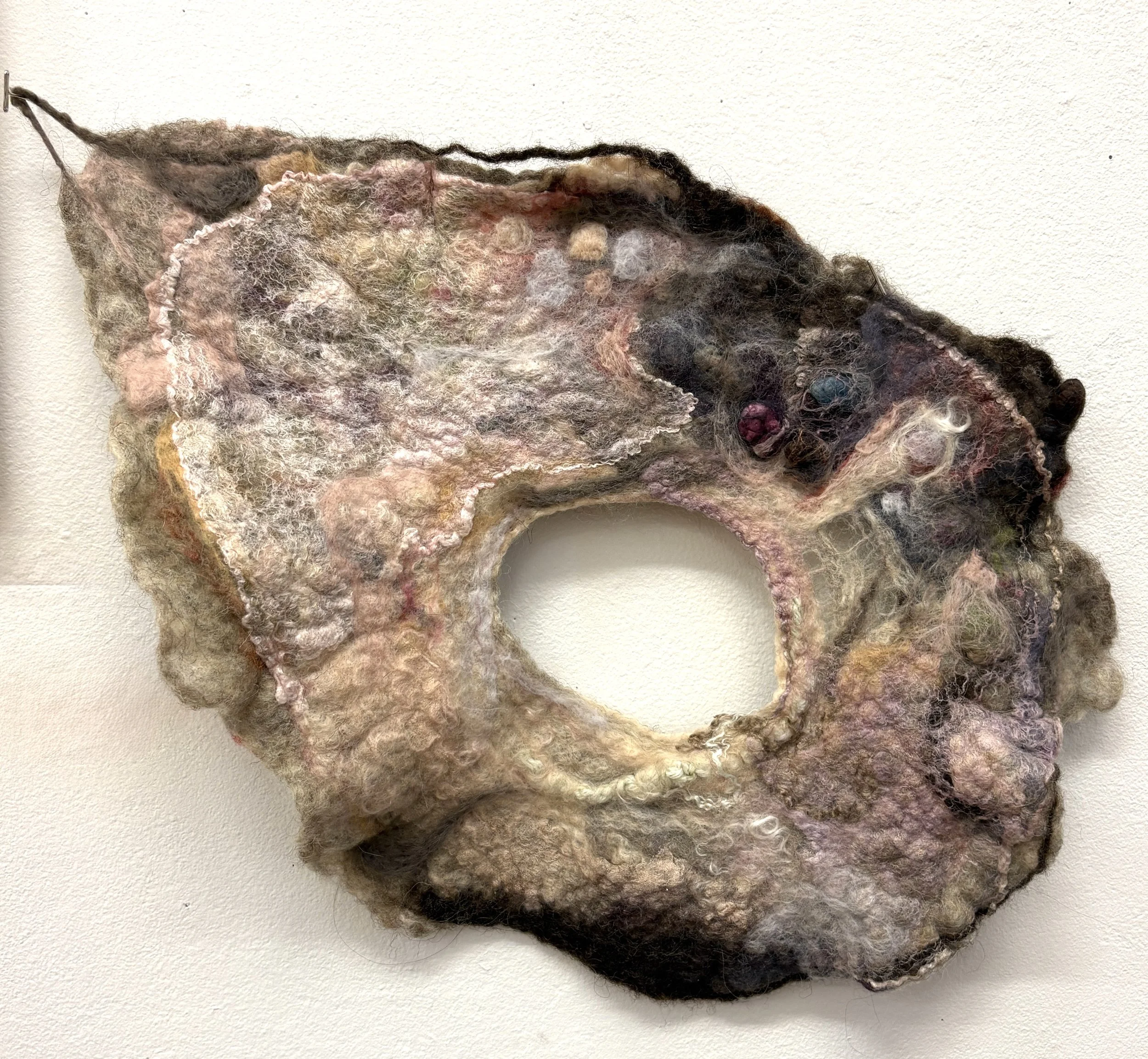 hole study, 2025
