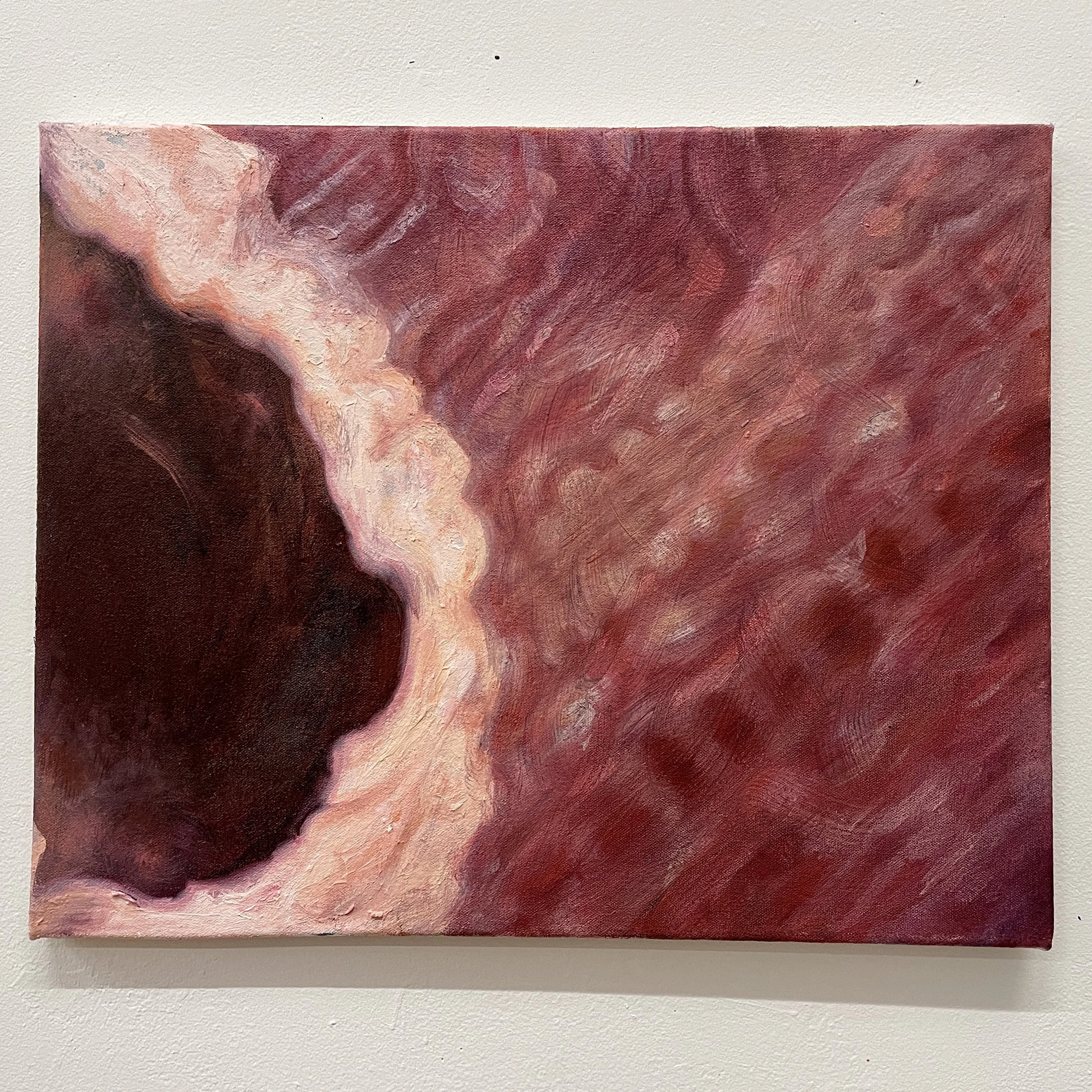 hole study, 2024