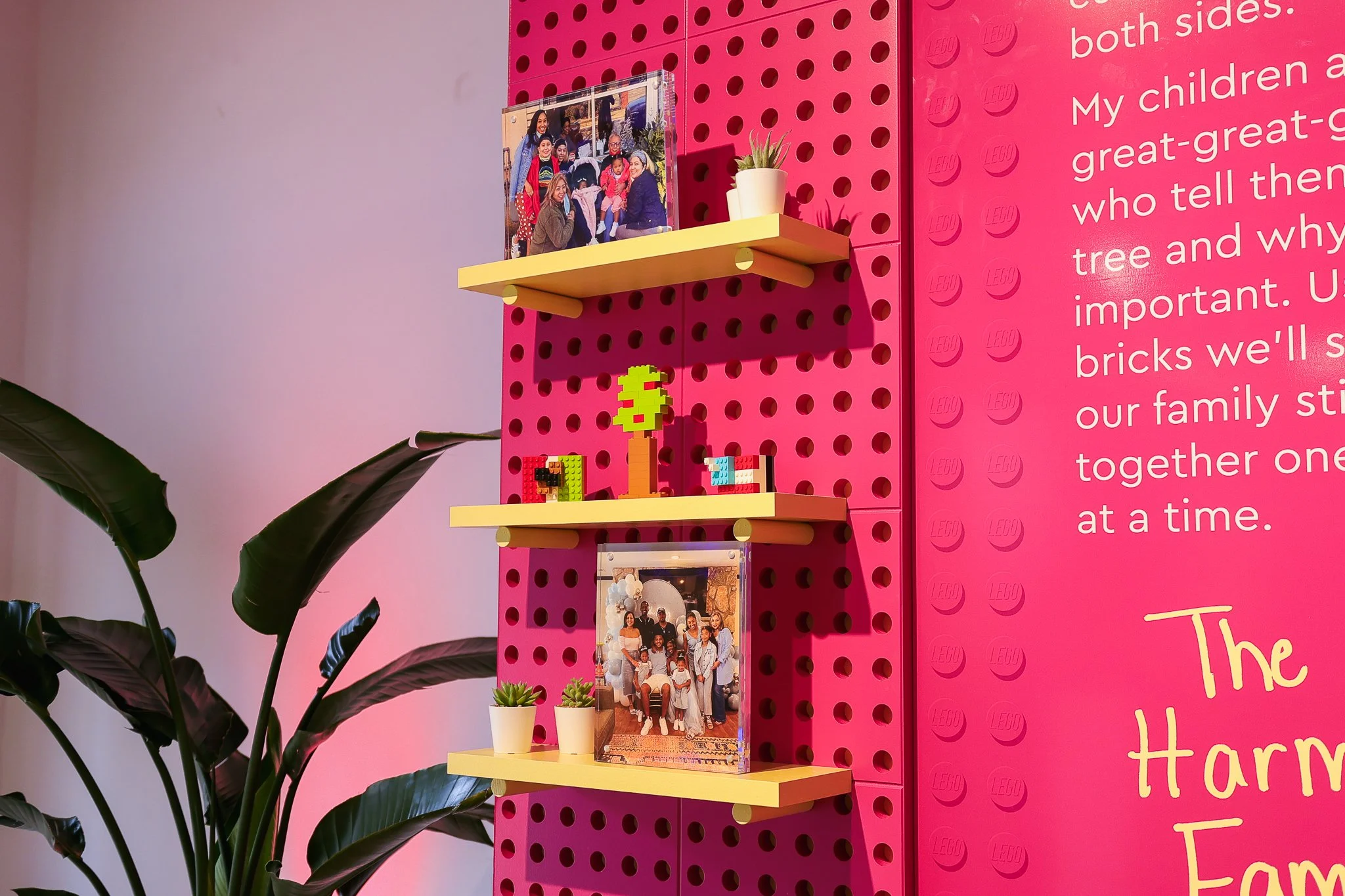 Colorful display on a pink pegboard wall with framed family photos, potted plants, LEGO creations, and a pink wall with white text about the importance of trees and family.
