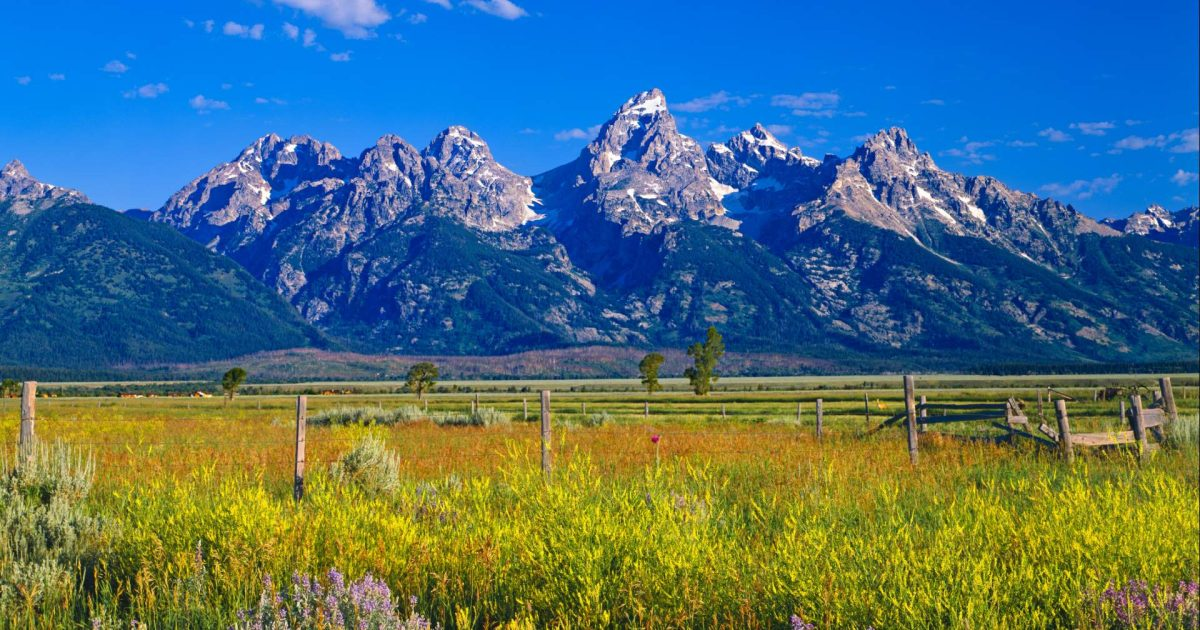 JACKSON HOLE, WY