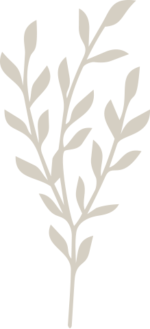 Gray silhouette of a plant with multiple leaves against a black background.