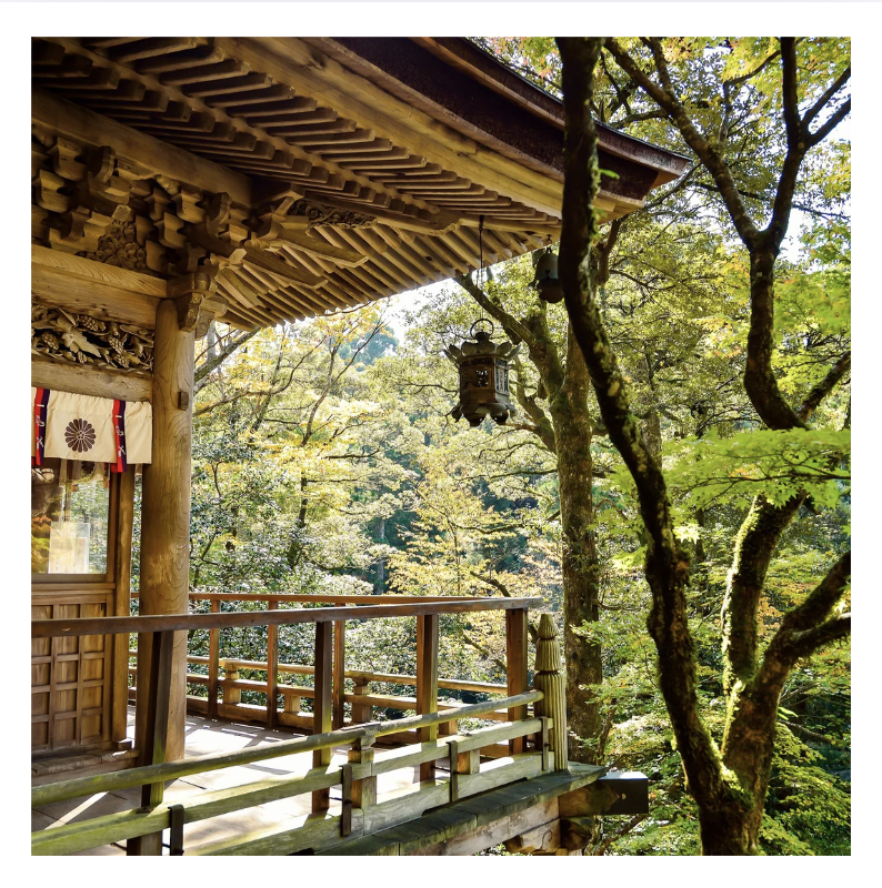 Wooden balcony of a traditional Japanese temple surrounded by green trees and sunlight.