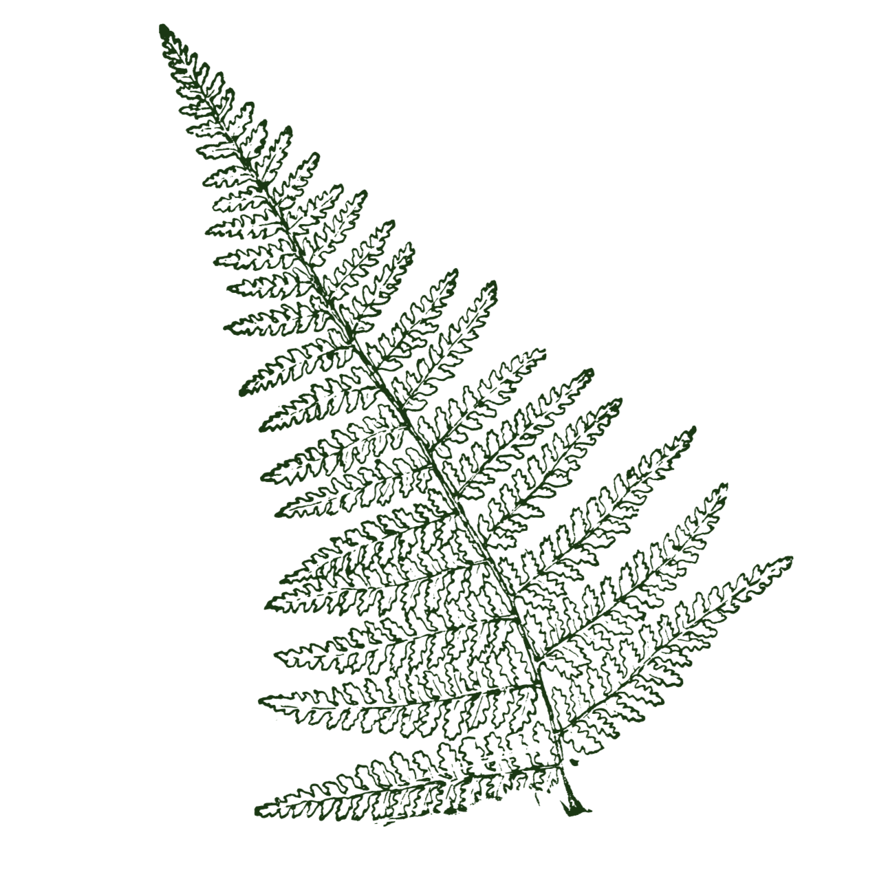 Geometric drawing of an outline square with sections divided by vertical, horizontal, and circle lines.