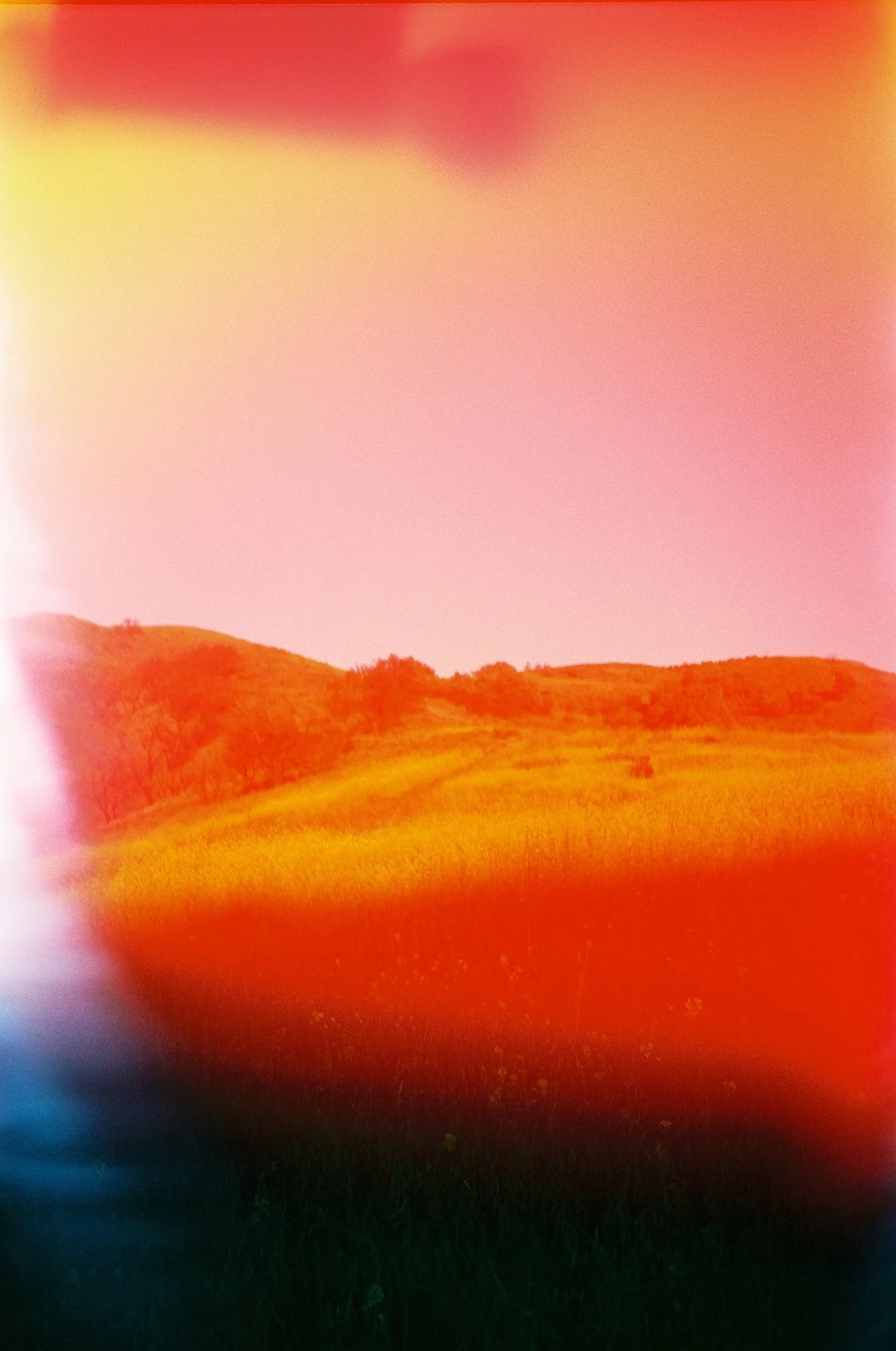 summer meadows ft sun leak
