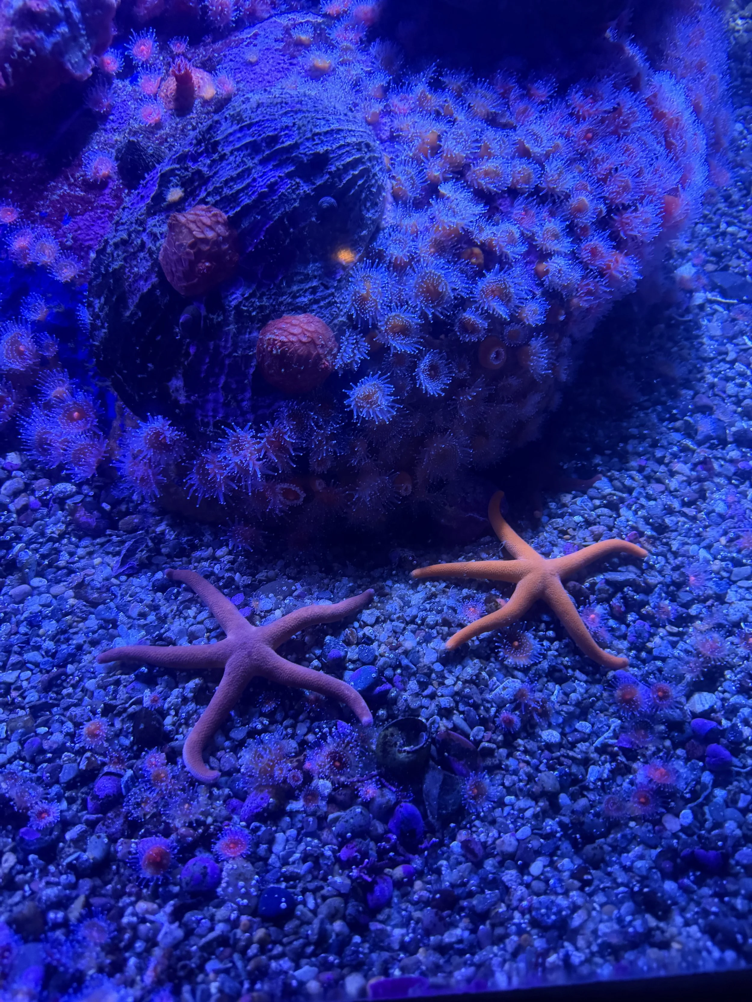 Five Things I Learned at ISTE That Every Principal Should Be Thinking About