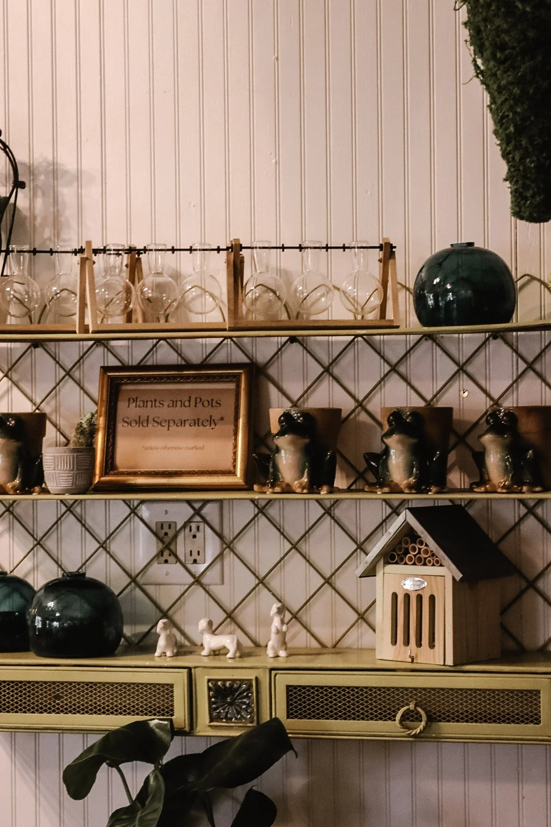 Interior shelf display with glassware, frog figurines, a small house-shaped decor, and a framed sign reading 'Plants and Pots Sold Separately.'
