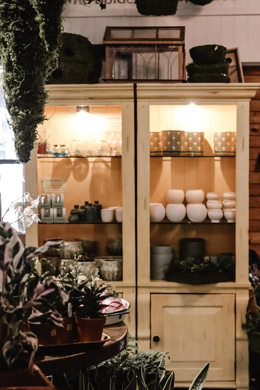 A display cabinet filled with assorted bowls, cups, and jars, with plants and flowers in front.