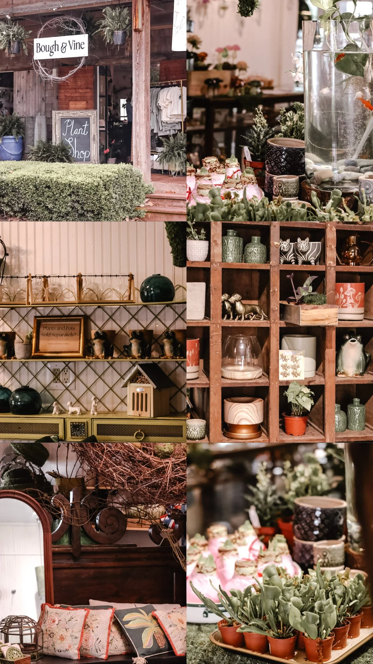 Multiple shelves and displays with plants, pottery, decorative items, and a garden shop exterior with plants and a sign reading 'Plant Shop' with greenery and clothing visible inside.