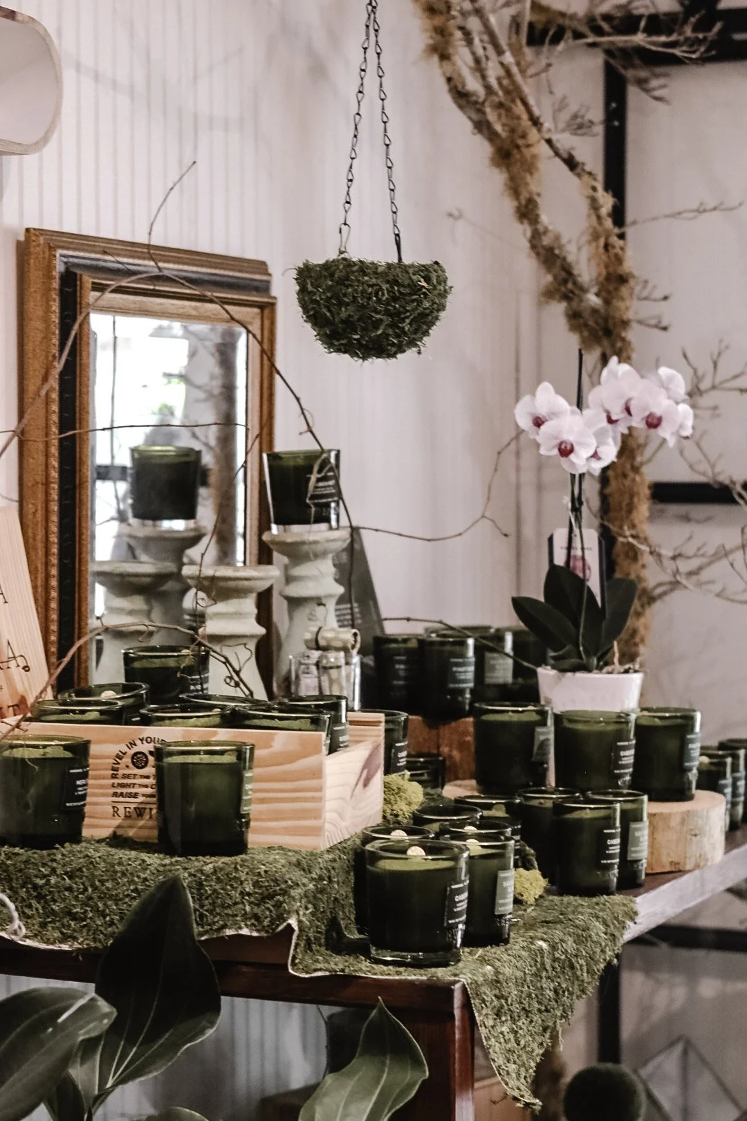 A display of black candles in green glass containers, arranged on a wooden table covered with moss, with a large mirror, a potted orchid, and decorative branches in the background.