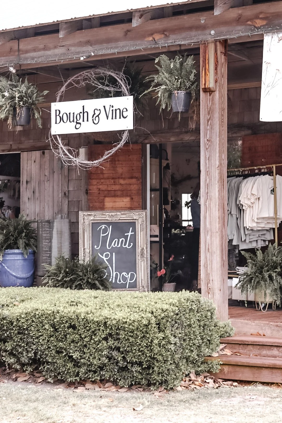 The exterior of a plant shop named 'Bough & Vine,' with hanging potted ferns, a chalkboard sign, and clothing on racks visible inside. There are bushes and plants outside.