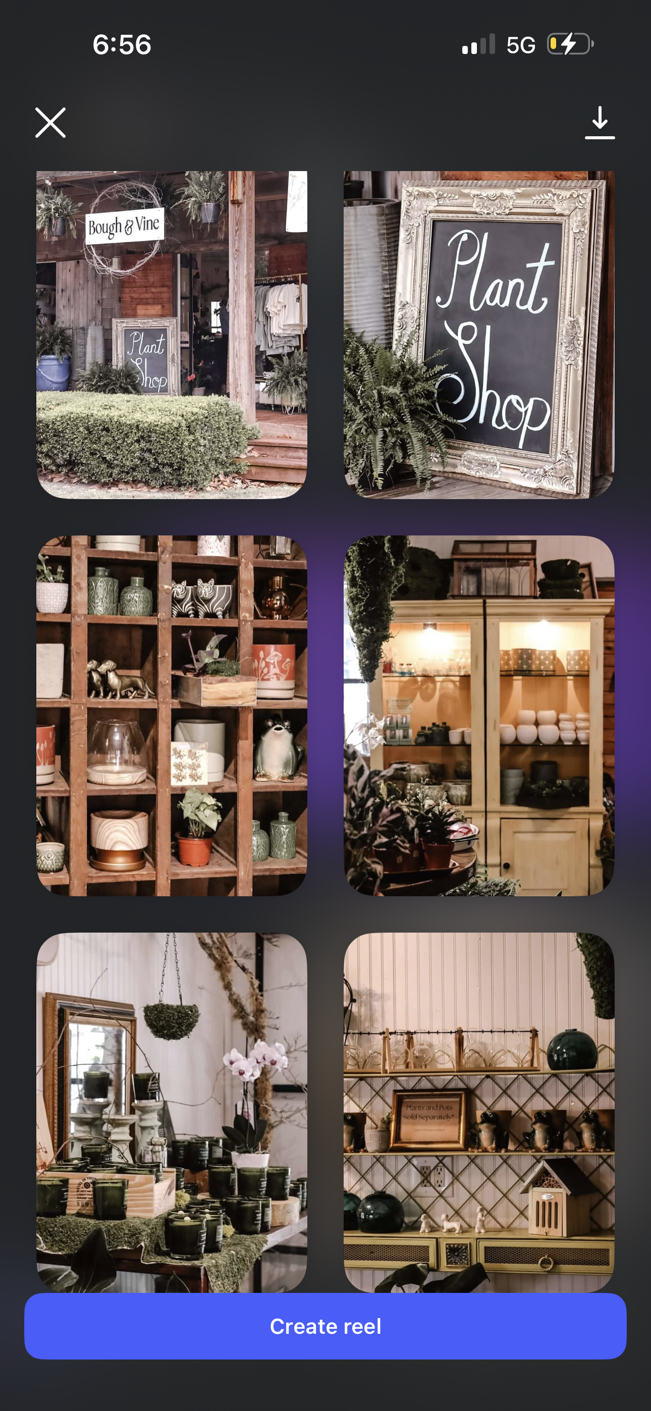 Collage of images showing a plant and home decor store with shelves of plants, pottery, and decorative items, and signs indicating it is a 'Plant Shop' and located inside 'Bough & Vine.'
