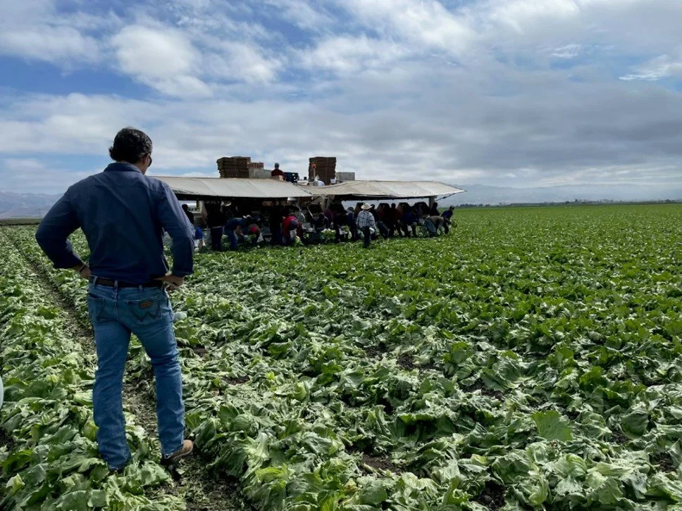 One of our most popular items from years past, the Nunes Co. Agricultural Tour, will be in our silent auction again this year at our 19th Art in the Pastures of Heaven on Friday, September 18th.

More details about this fabulous event can be found he