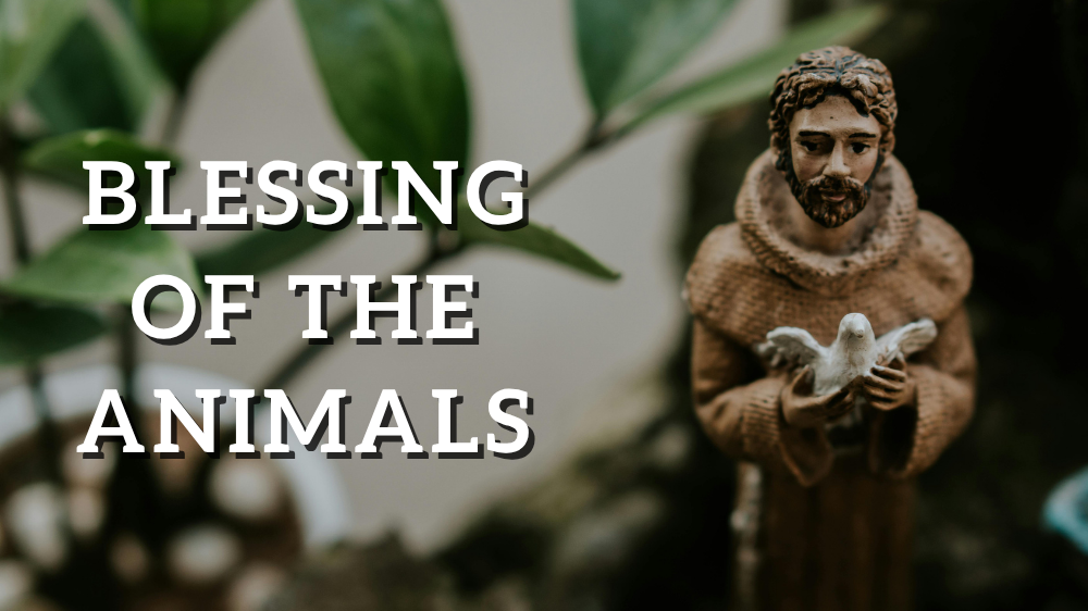 Blessing of the Animals