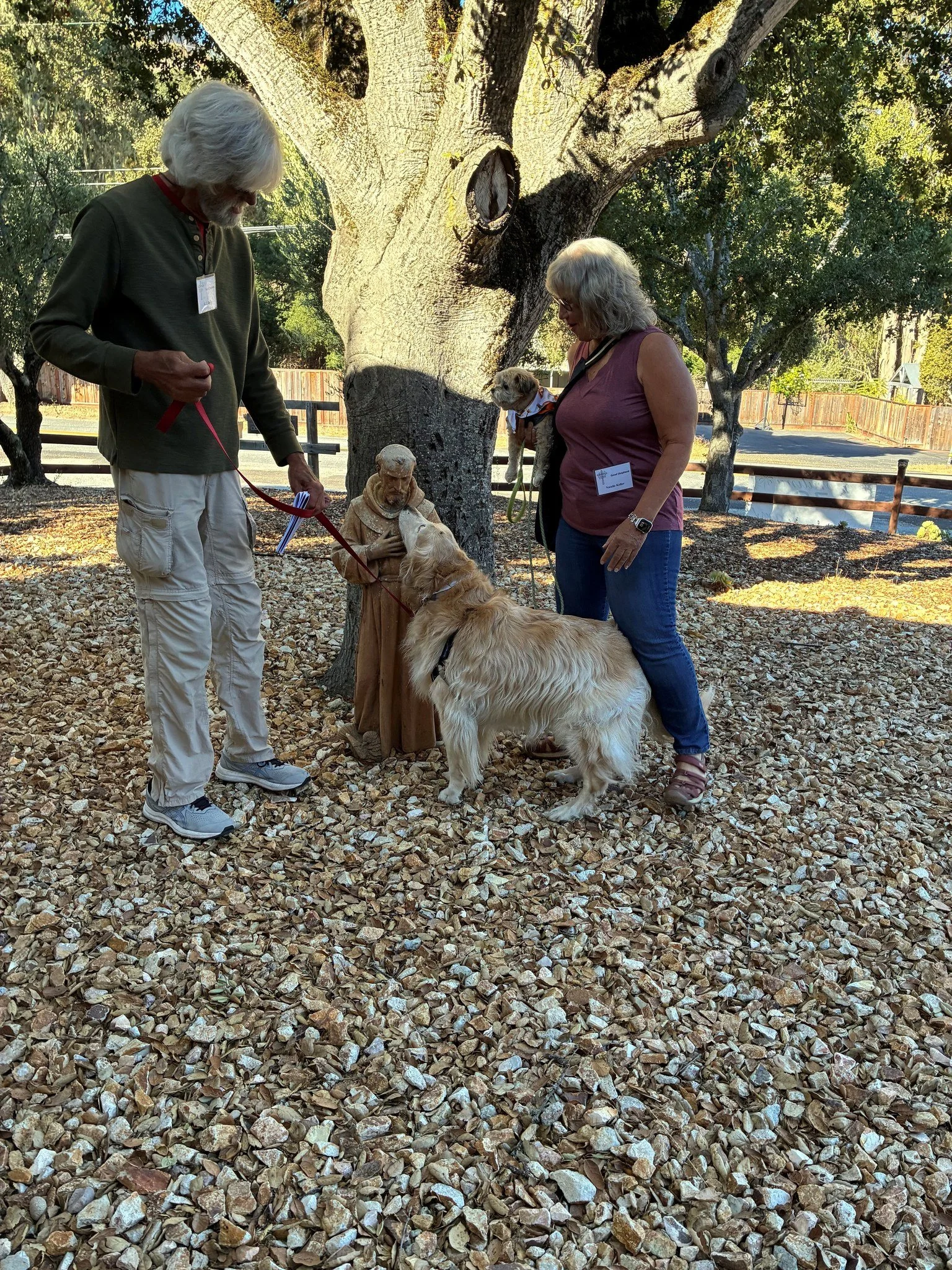 What a lovely Blessing of the Animals service we had yesterday!