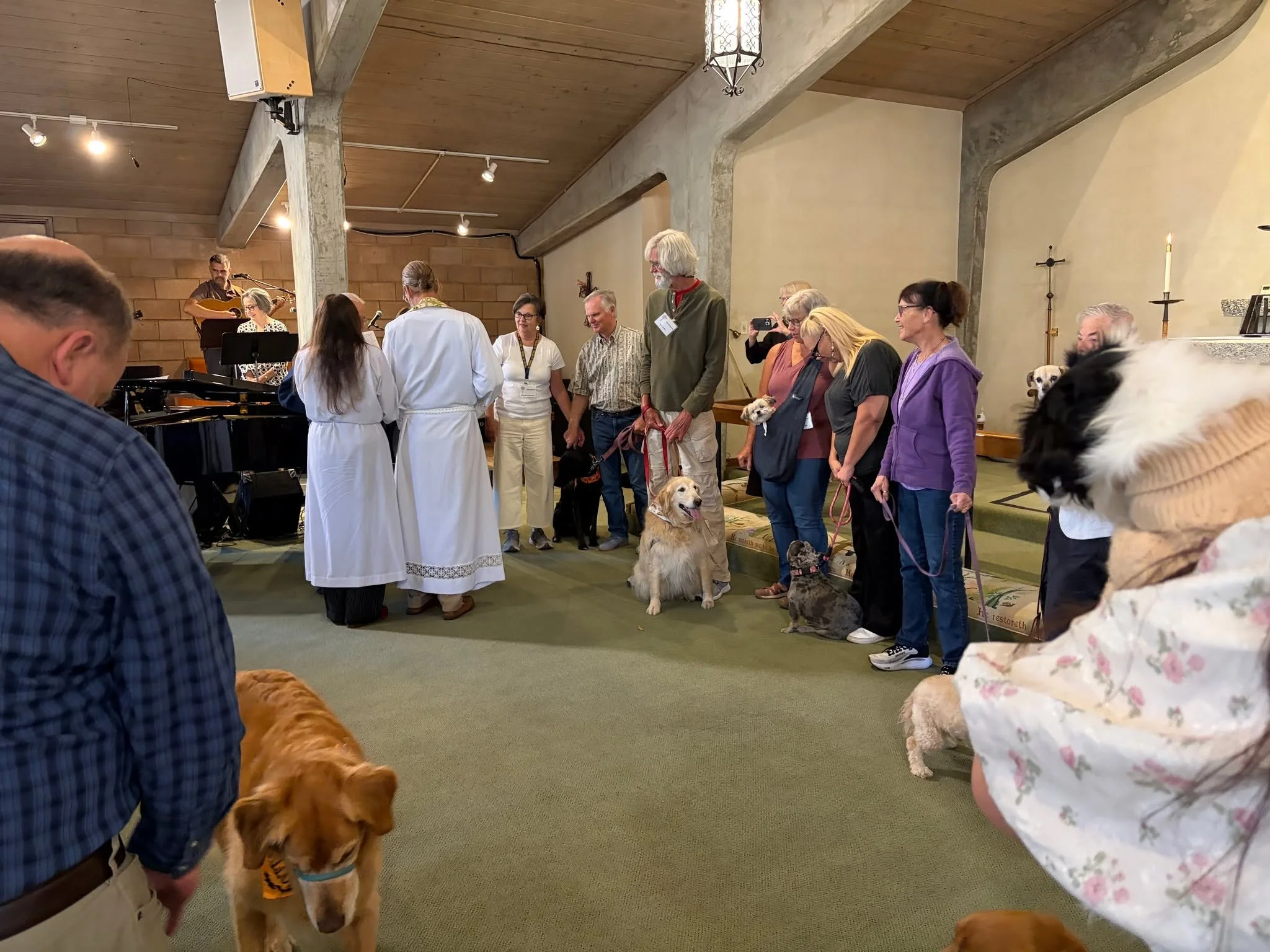 Move lovely photos from our annual Blessing of the Animals service (Oct. 4th) ❤