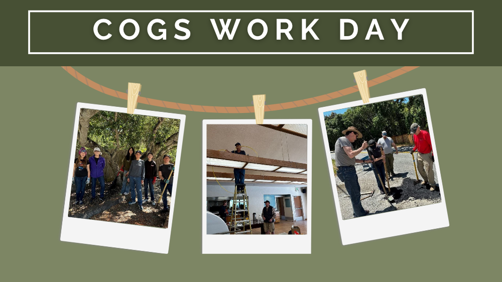 COGS Work Day