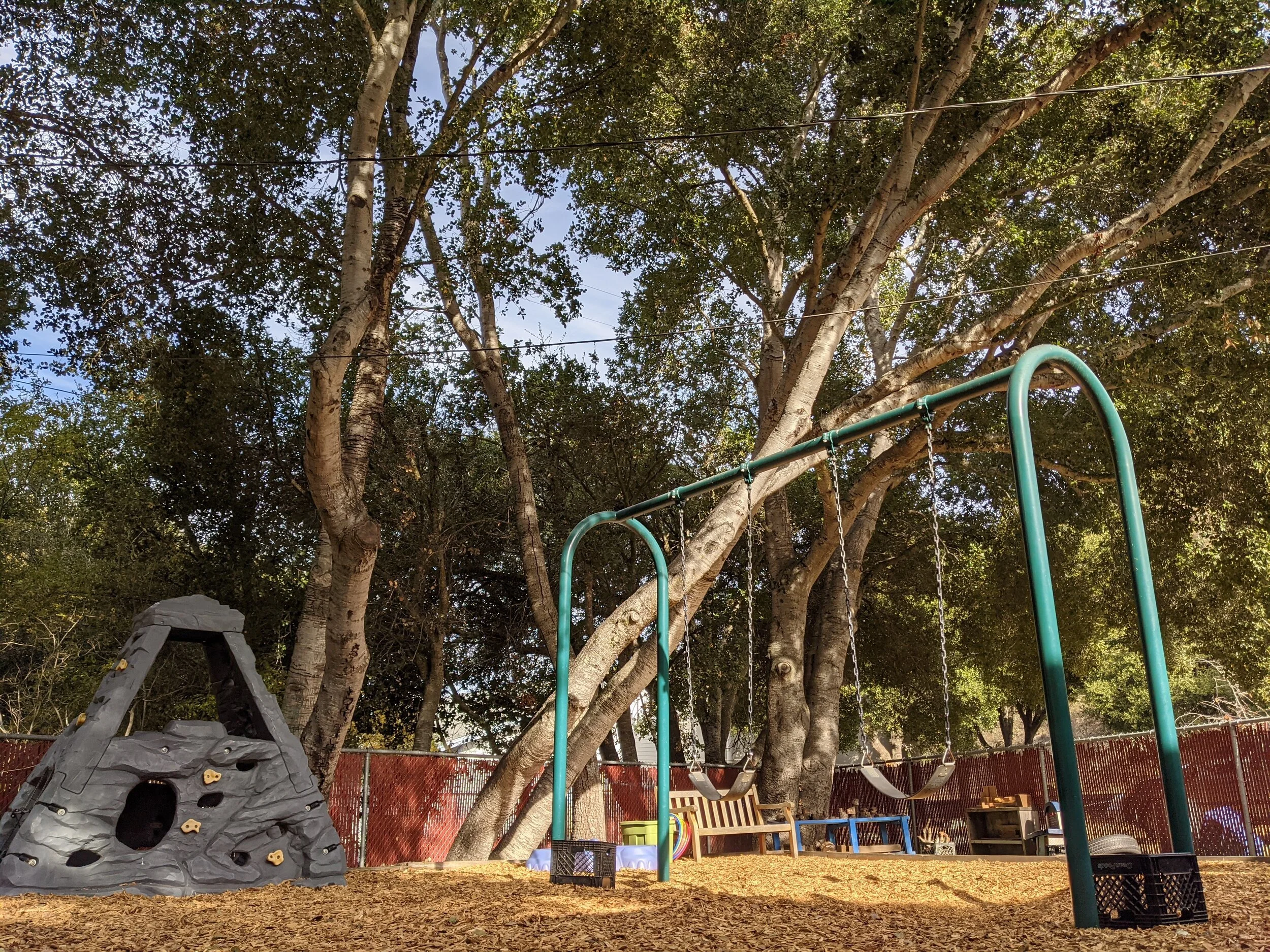 A playground area with a large rock climbing structure on the left, a swing set with multiple swings in the middle, and a large tree in the background. The ground is covered with fallen leaves.