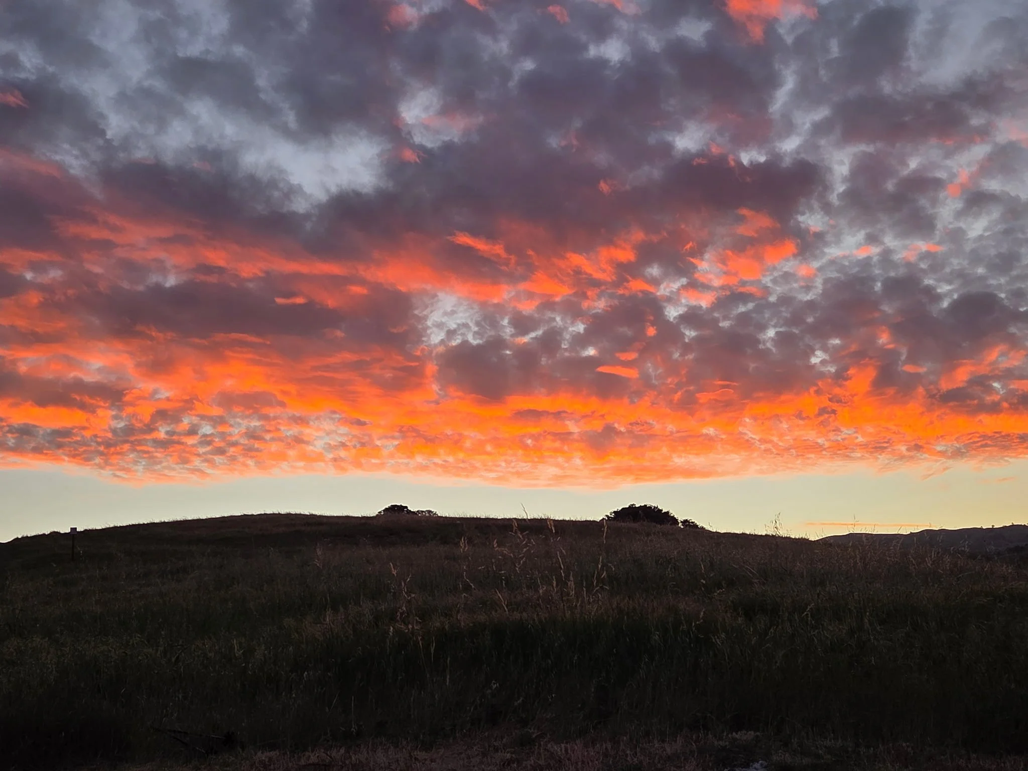 A landscape view of a dark hill with tall grass in the foreground, and a vibrant sunset sky filled with dark clouds illuminated in shades of orange and pink.