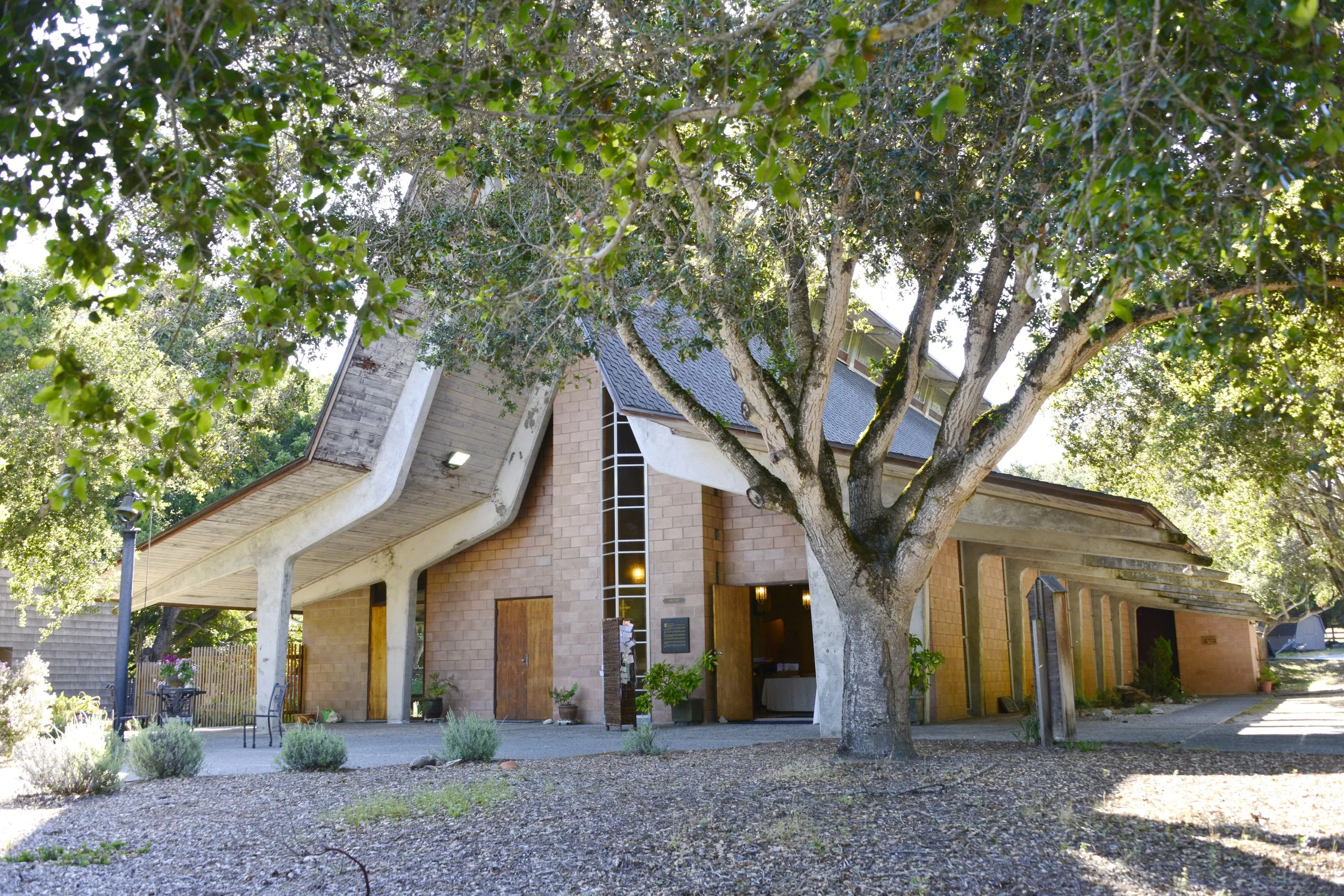 A large tree with dense green foliage in front of a building with brick walls and angular concrete supports, with outdoor seating and potted plants.