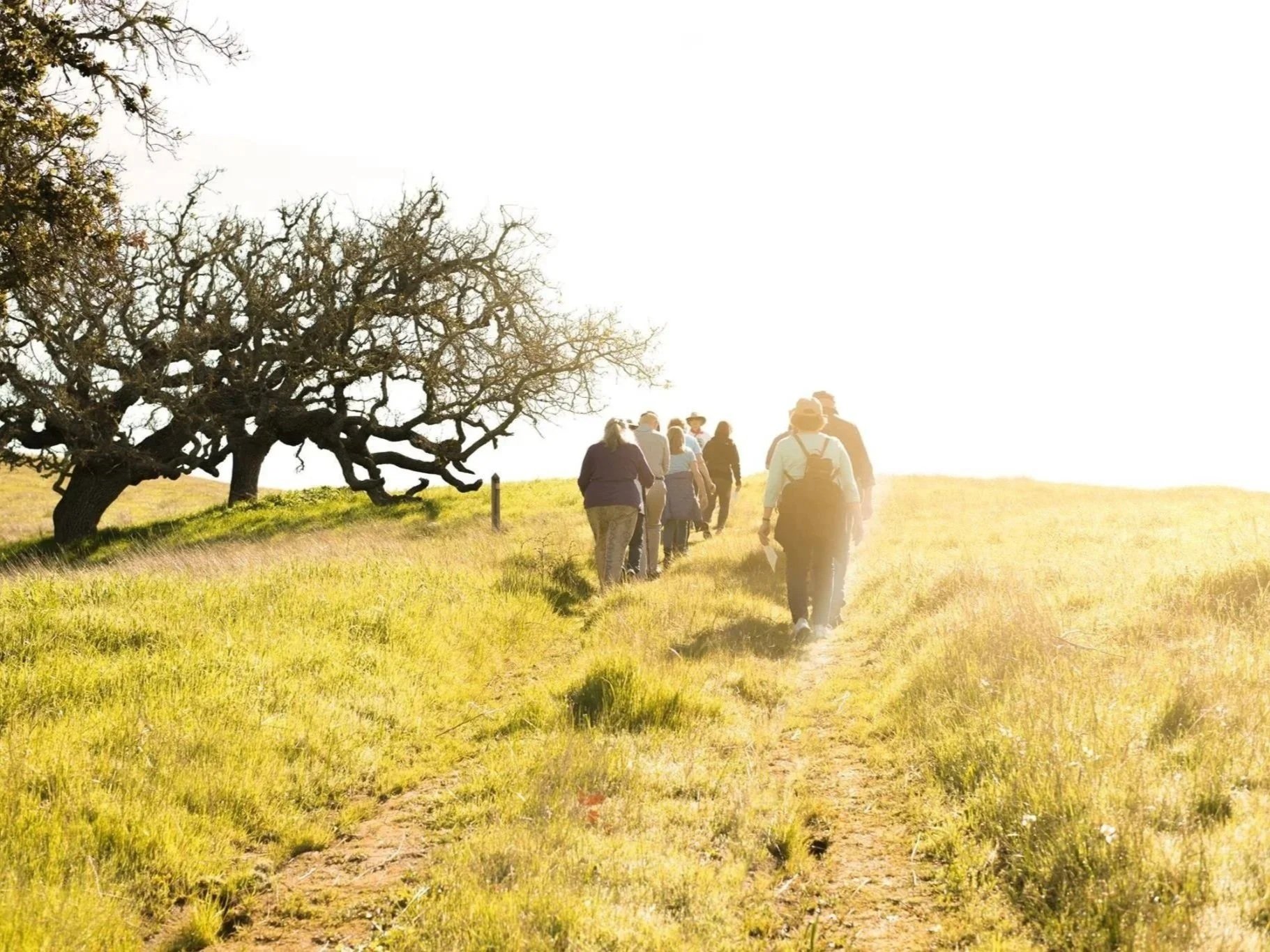 Hiking the Stations of the Cross at Good Shepherd, Salinas