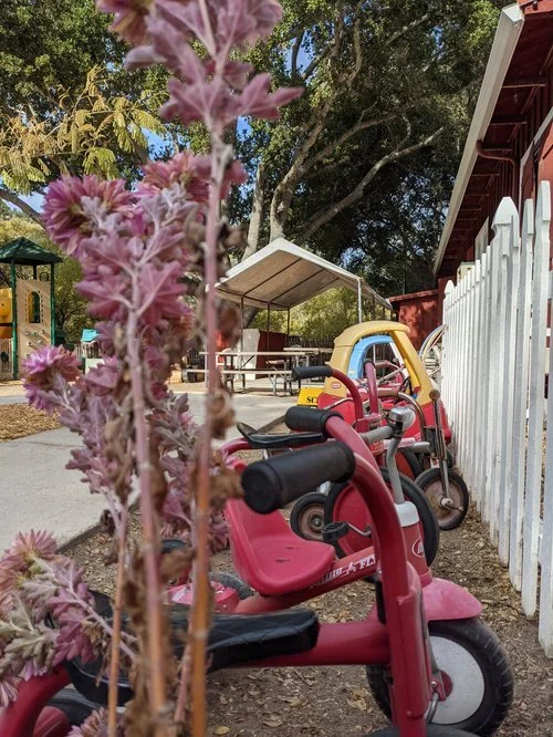 Colorful children's tricycles parked on a dirt ground near a white picket fence at a park or playground, with trees and a pavilion in the background.