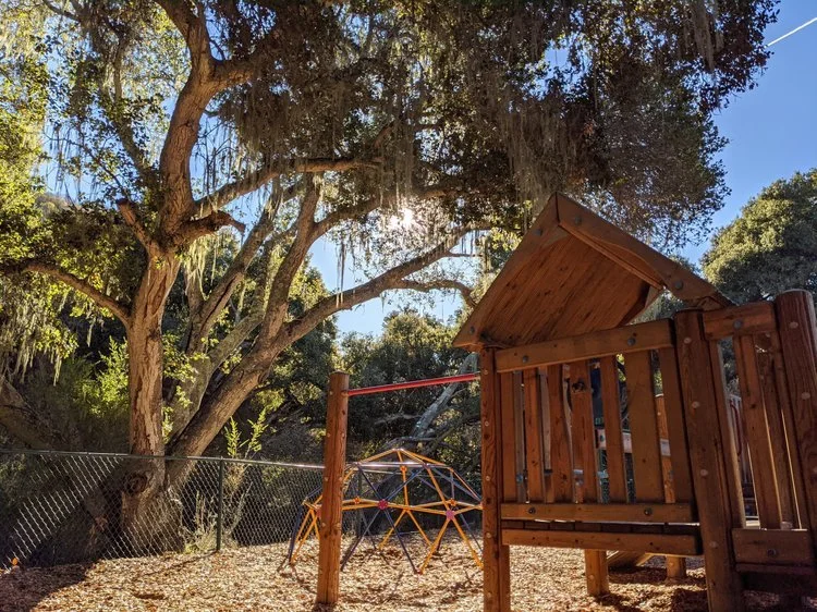 Wooden playground structure with slide and climbing dome in a wooded outdoor area during daytime