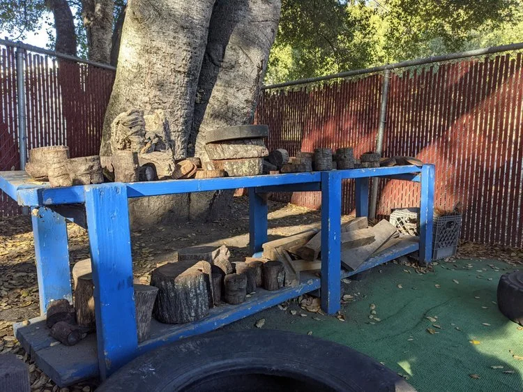 Blue outdoor workbench with cut wood and logs, set against a tree and red metal fence, with leaves and rubber tires nearby.