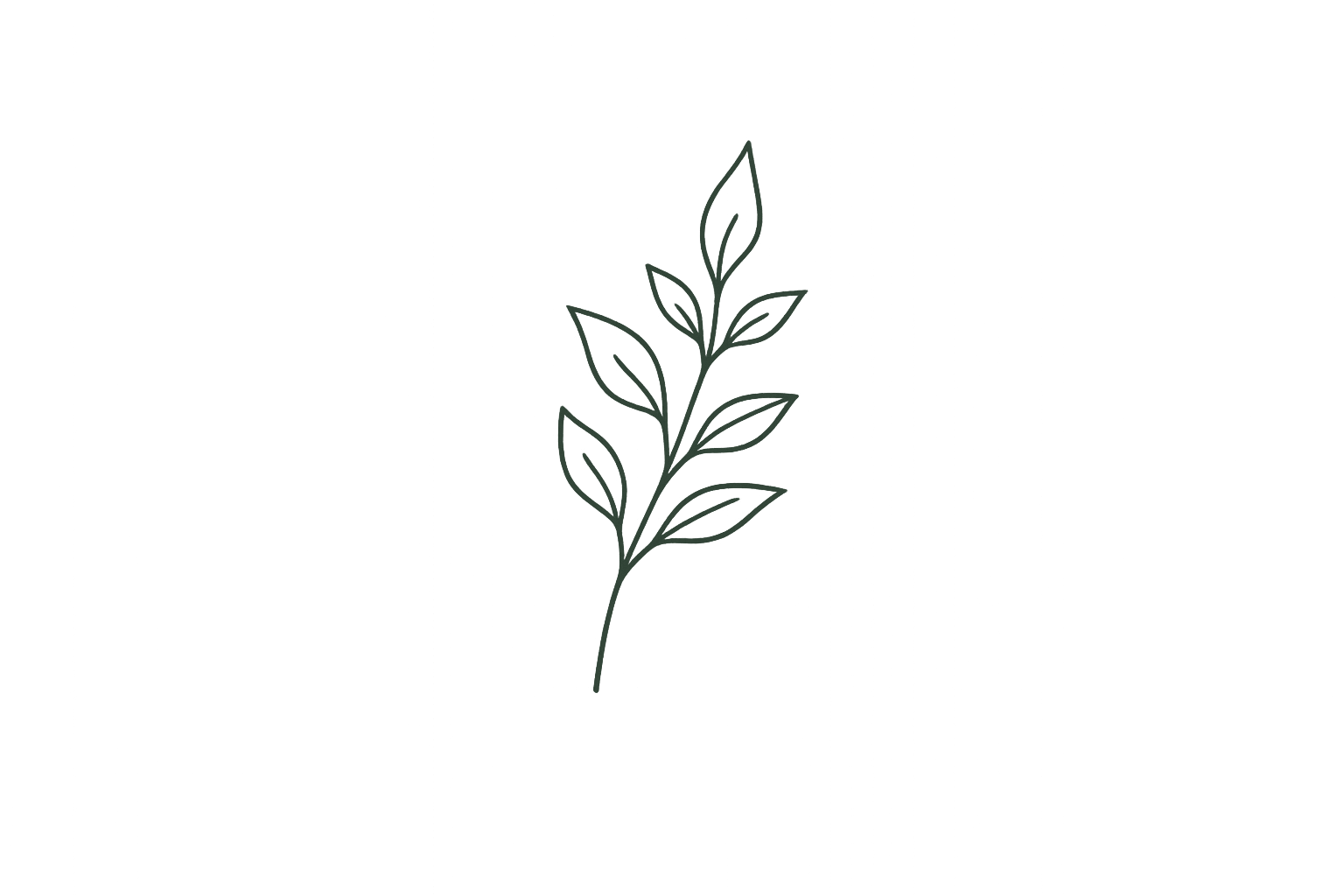 A simple line drawing of a green leafy stem with multiple leaves.