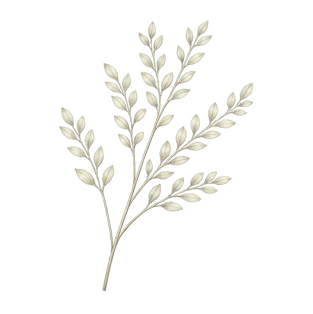 Illustration of a branch with multiple elongated leaves on a black background.