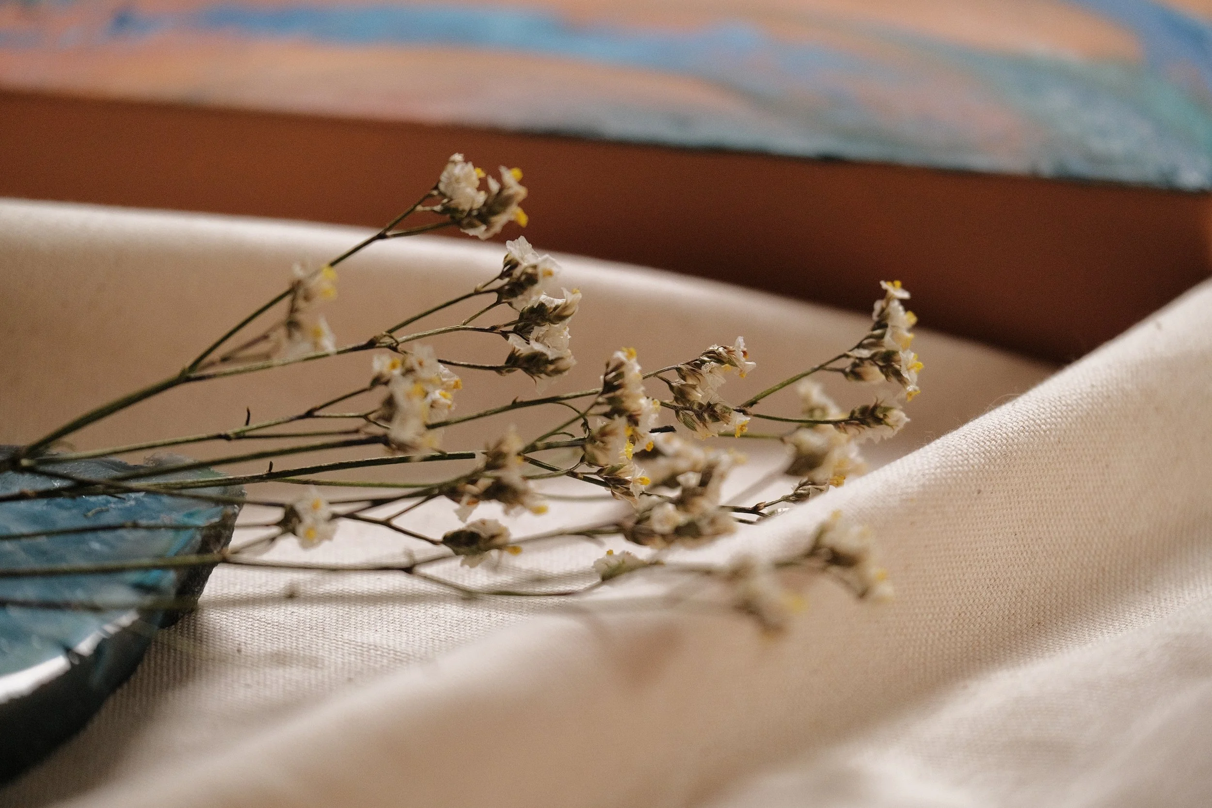 Close-up of dried white flowers with yellow stamens on a thin branch, resting on a fabric surface with a blurred background.