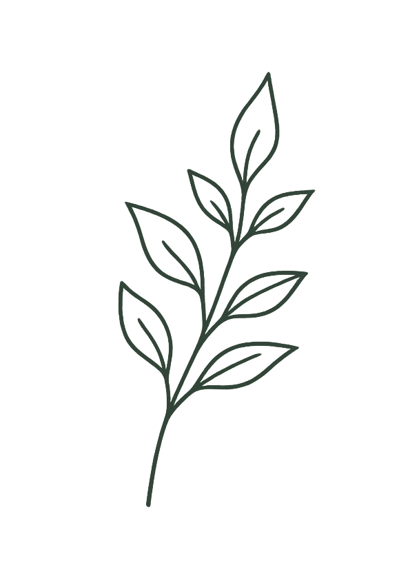 Minimalist line drawing of a leafy plant with multiple leaves on a single stem, on a black background.