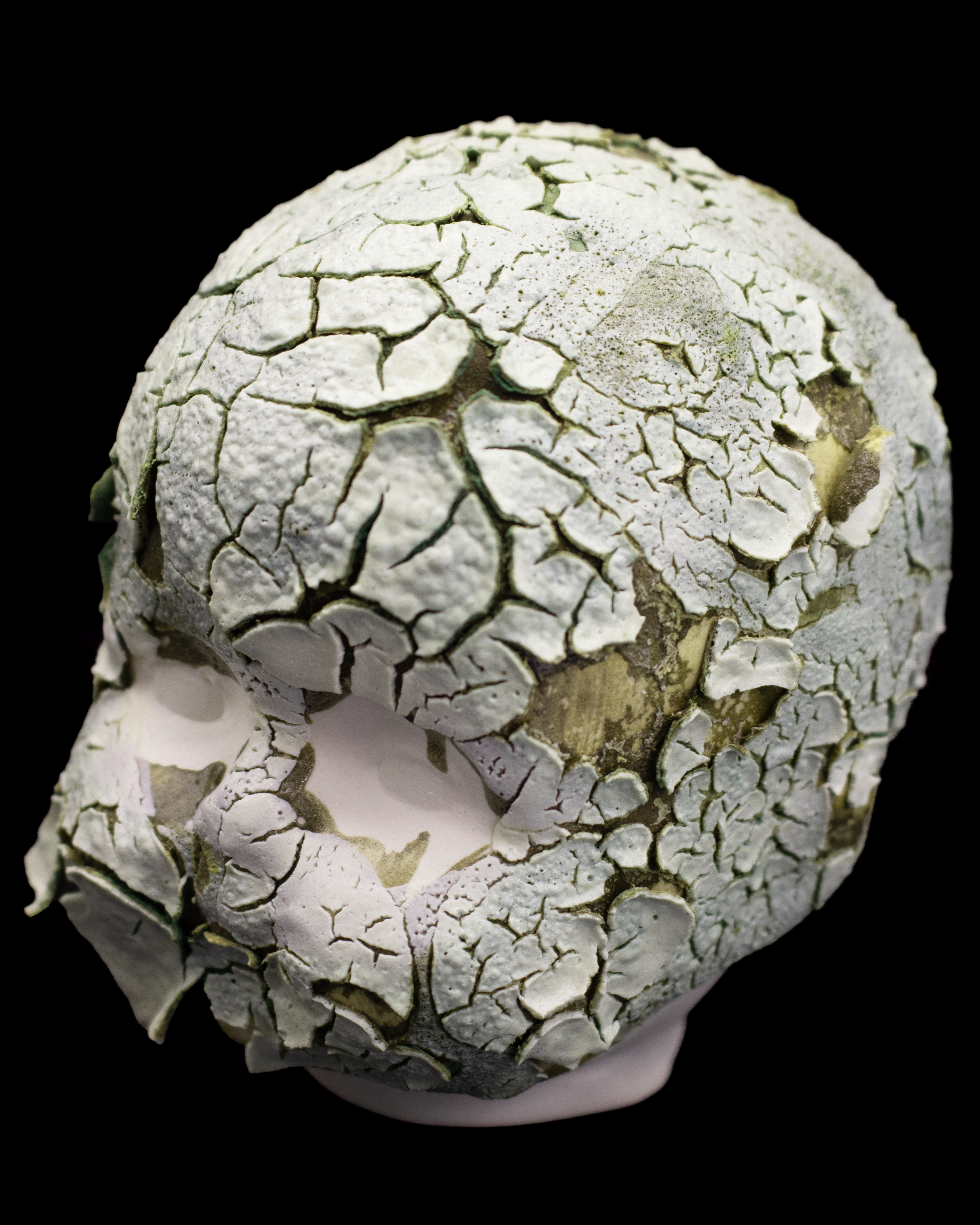babydollceramicscrawlhead2b.png