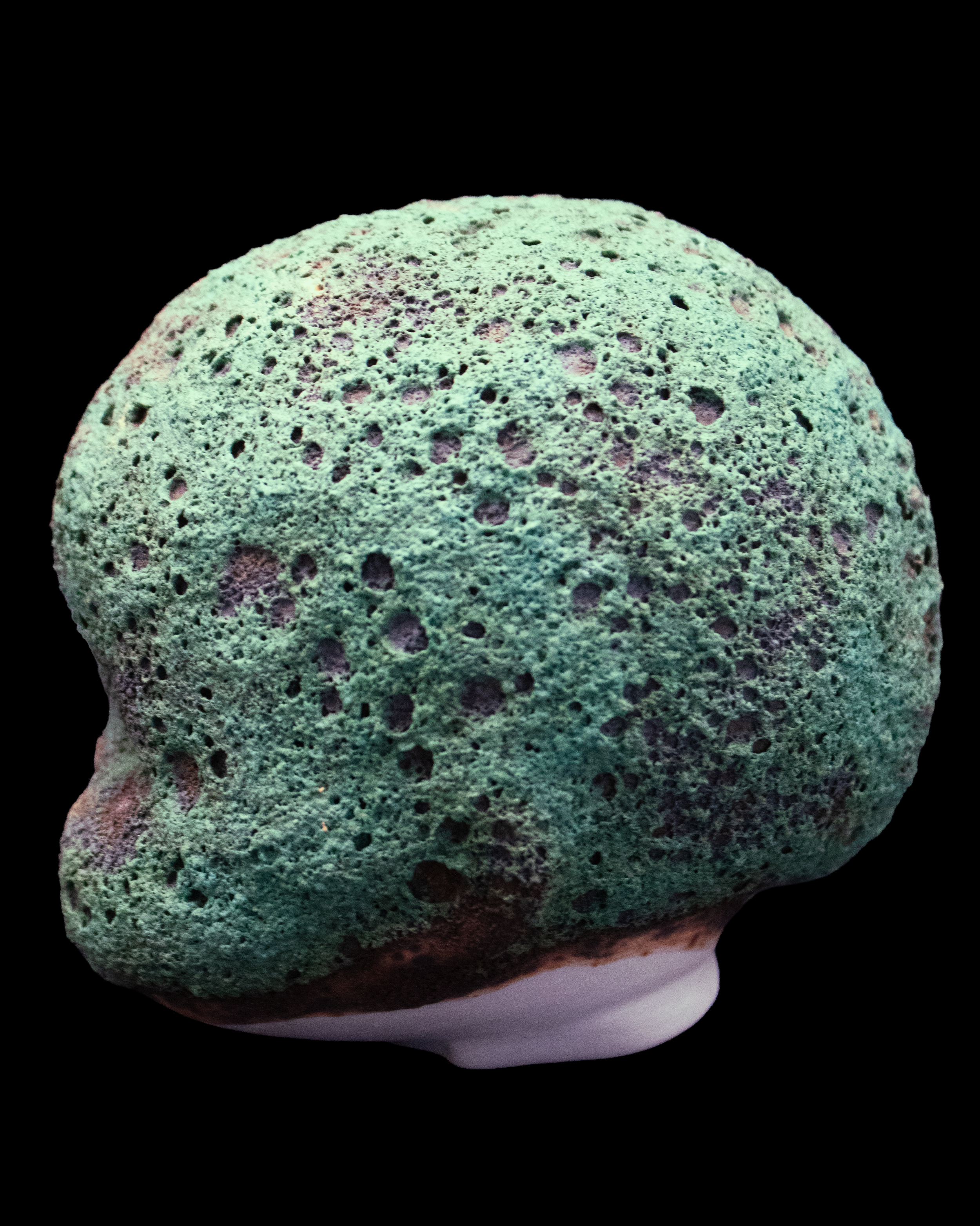 bubblegreenbabydollhead5.png