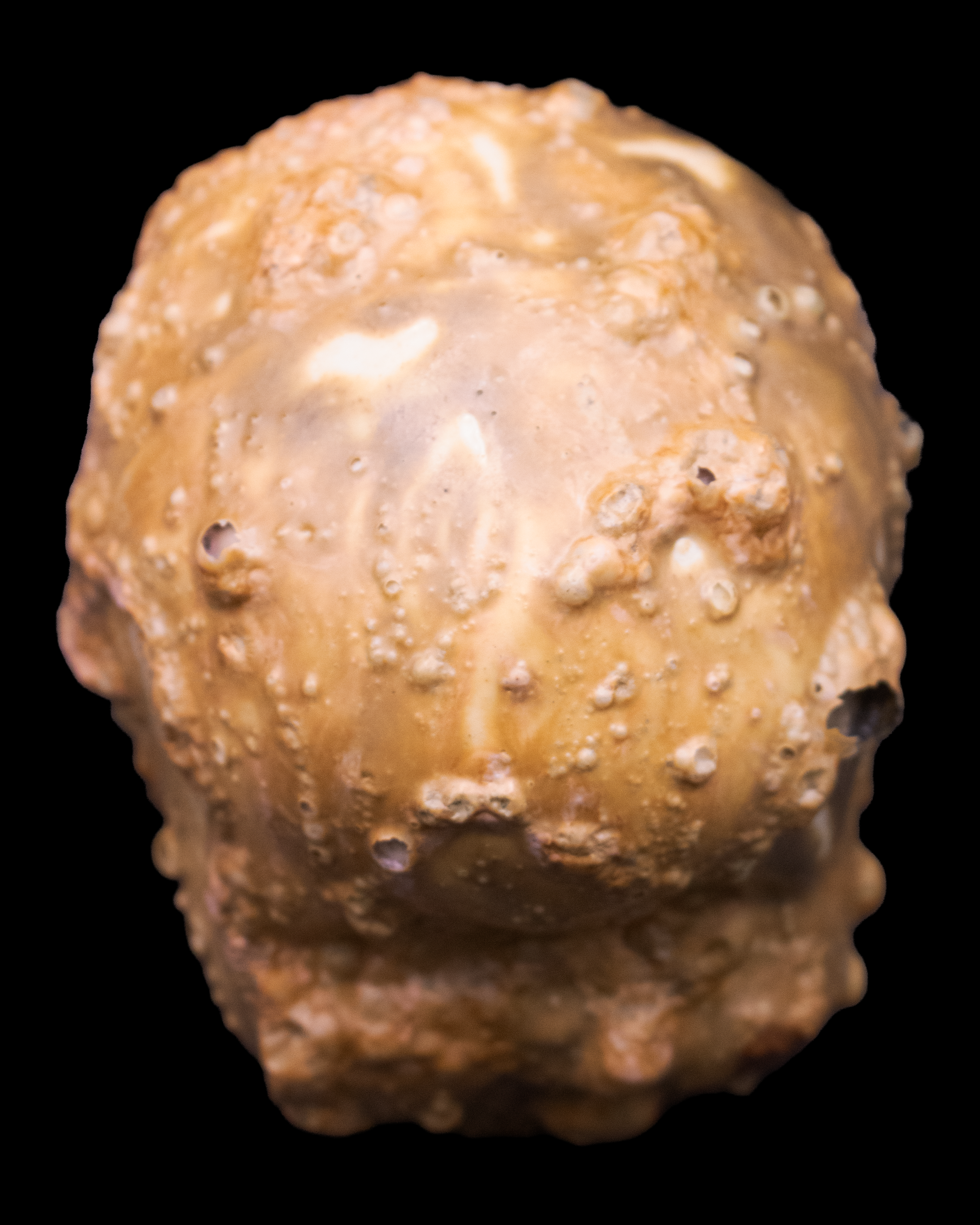 seafoambabydollceramics3.png