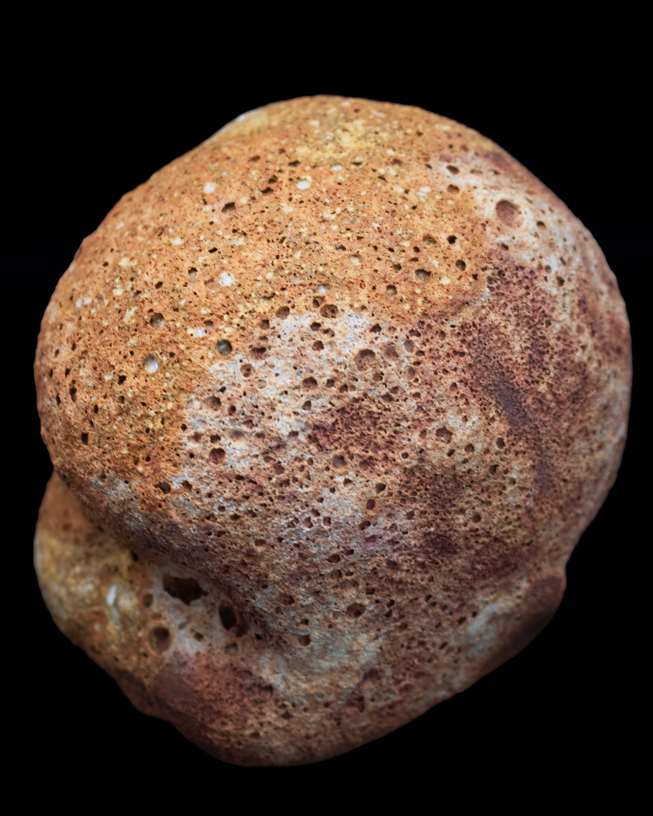 babydollceramicscratorhead1.png