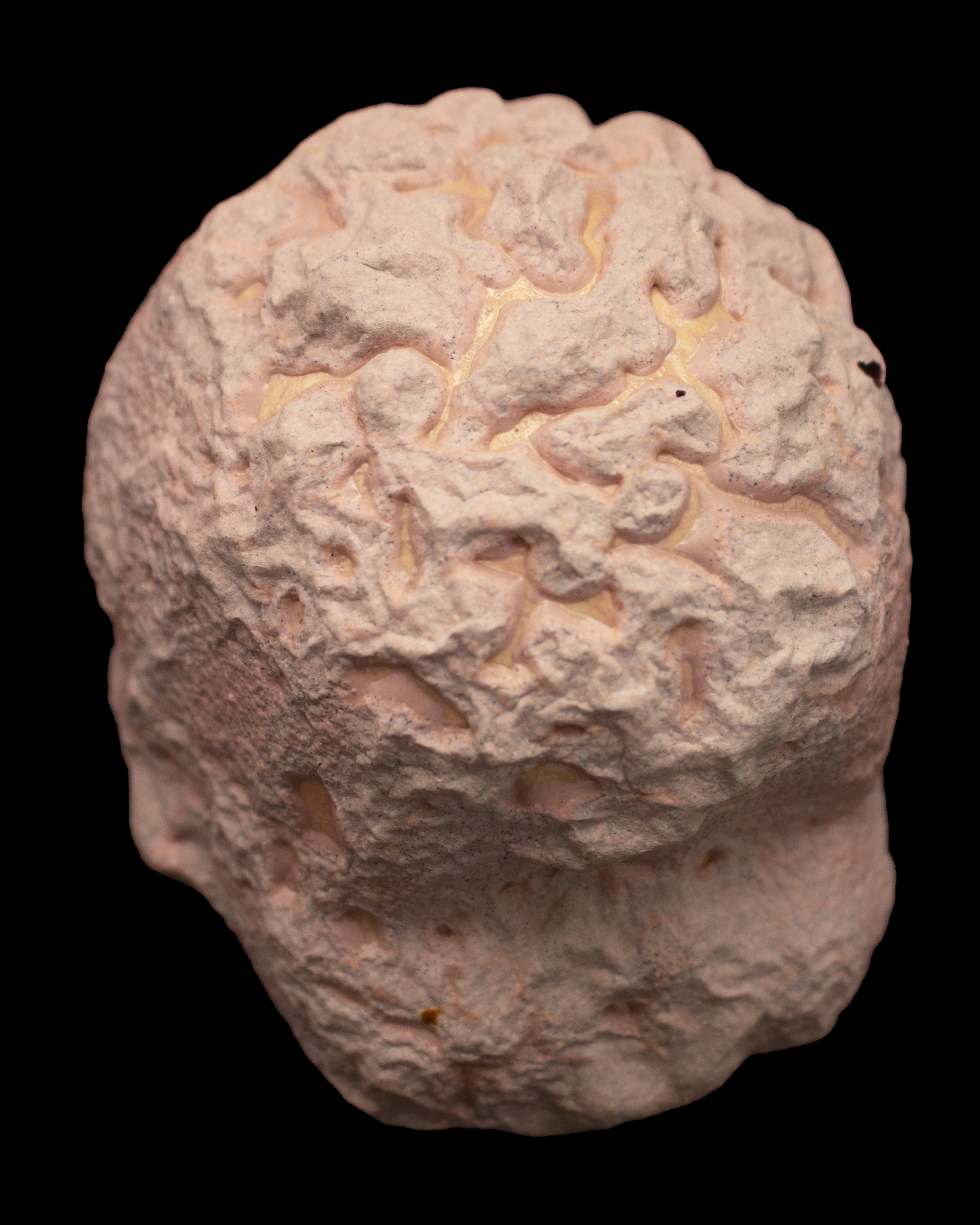Babydollhead3b.png