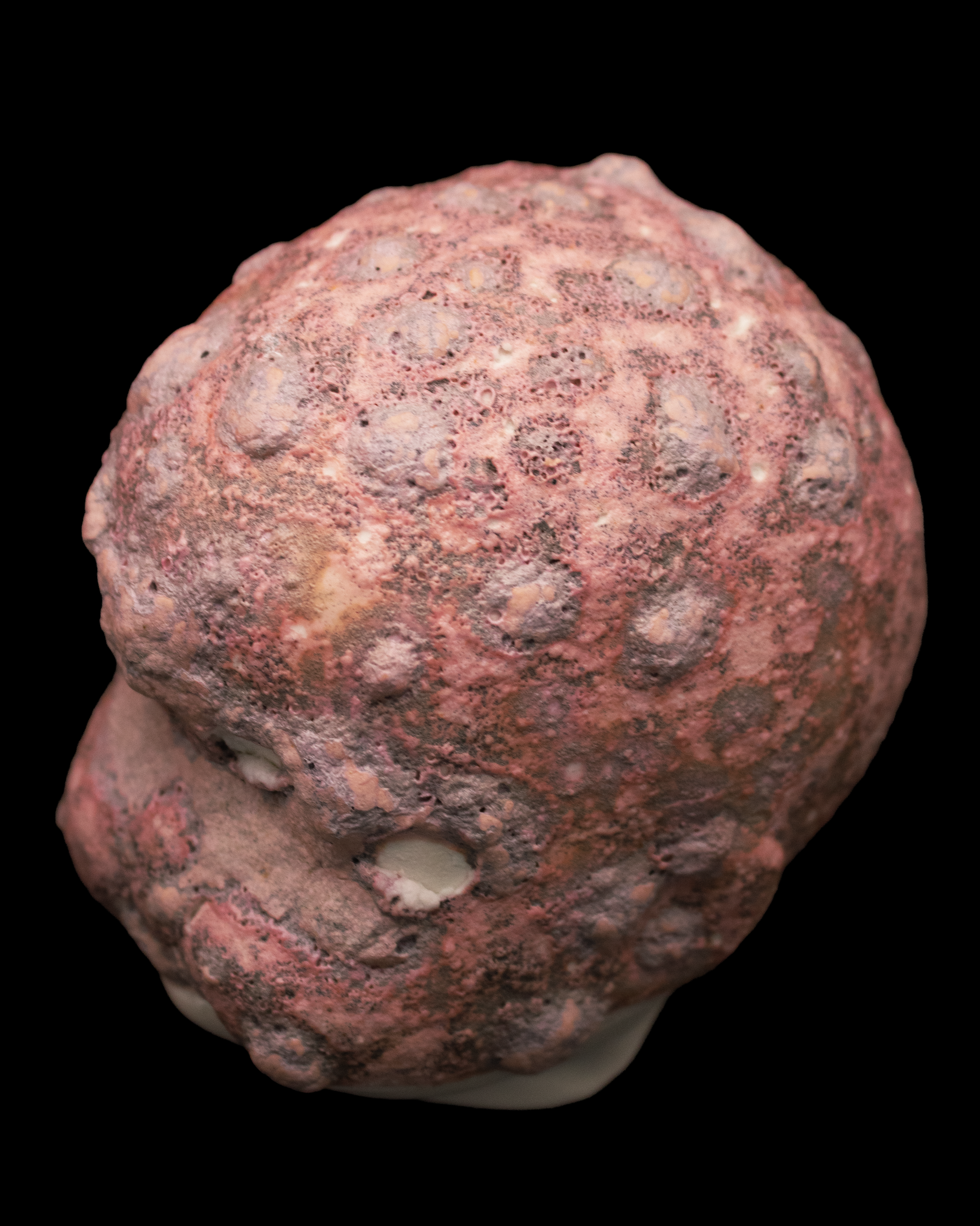 spottybabydollceramicshead1.png