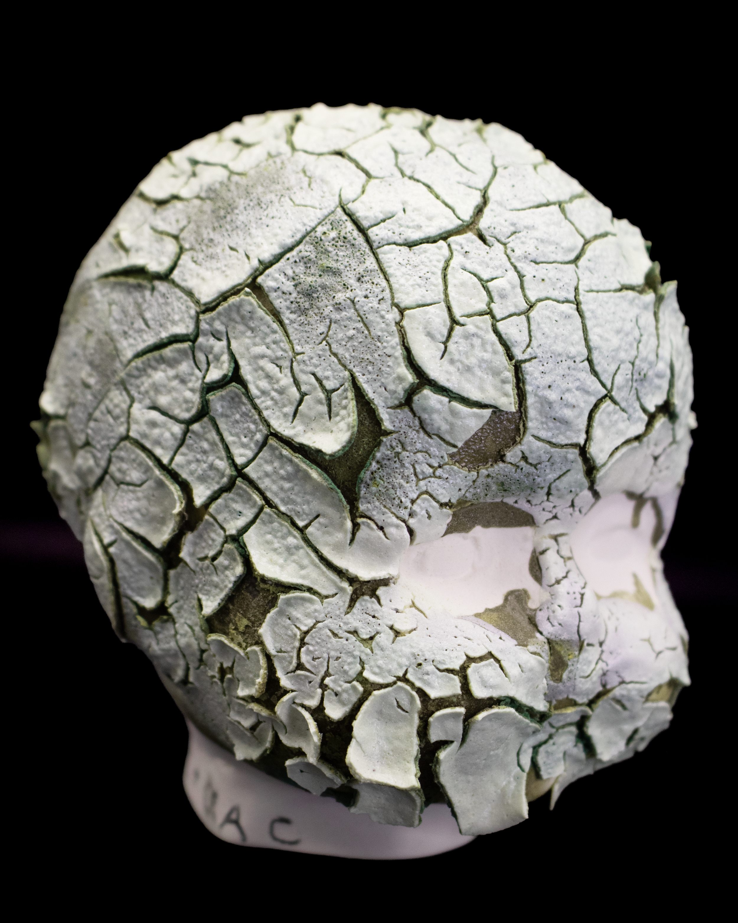 crawlbabydollceramicshead1a.png