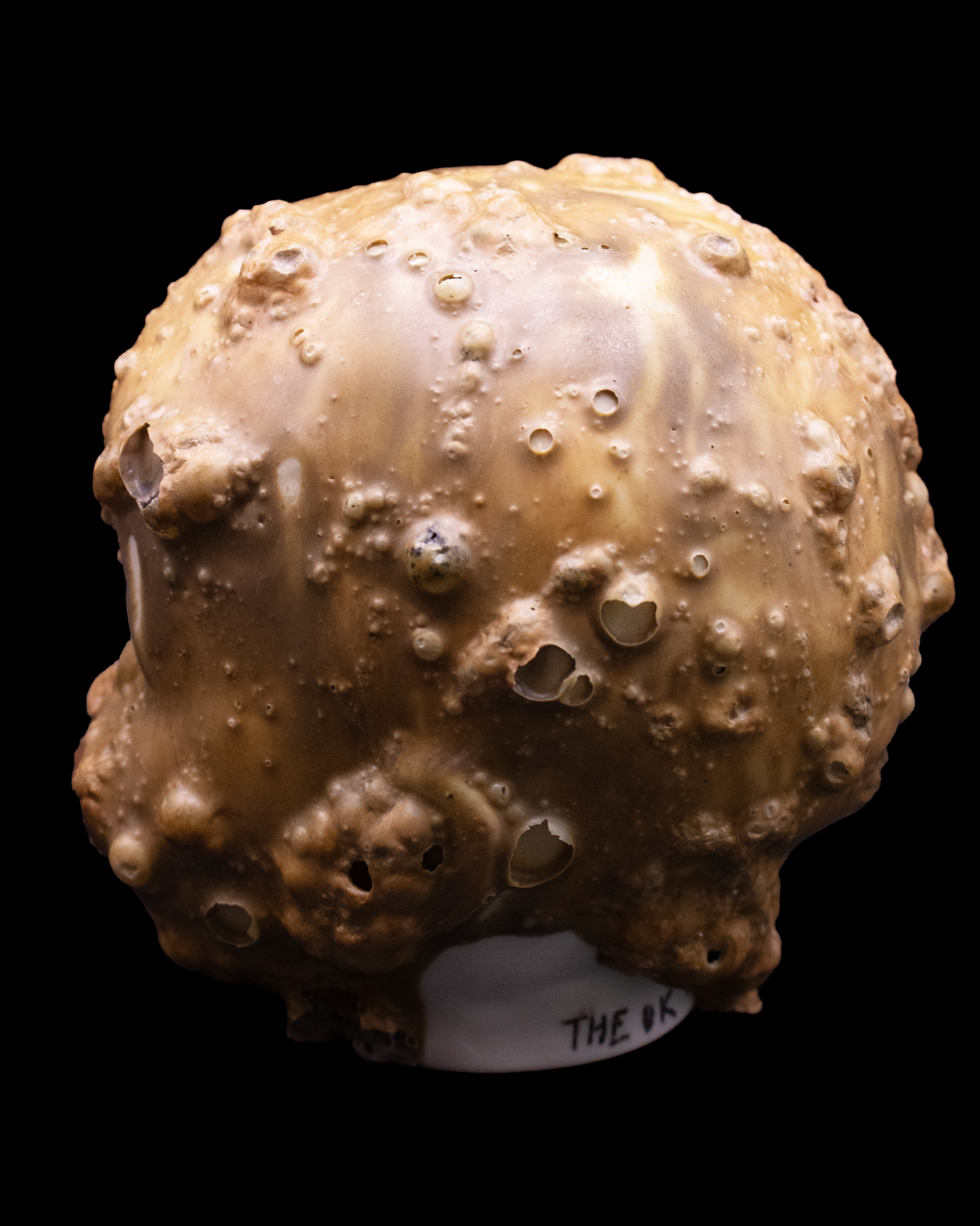 seafoambabydollceramics4.png