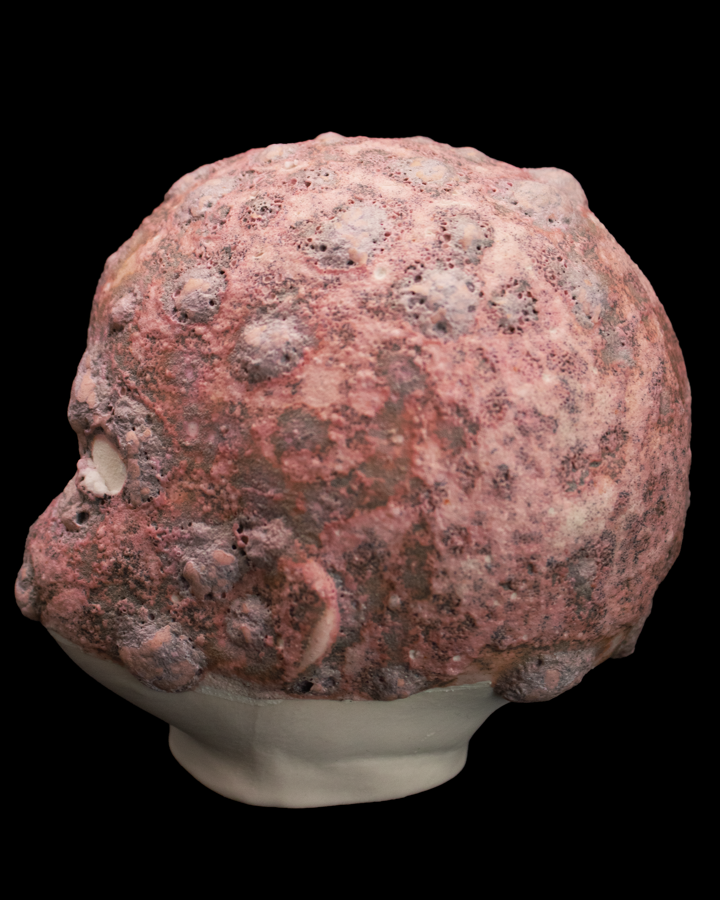 babydollceramicsspottyhead2.png