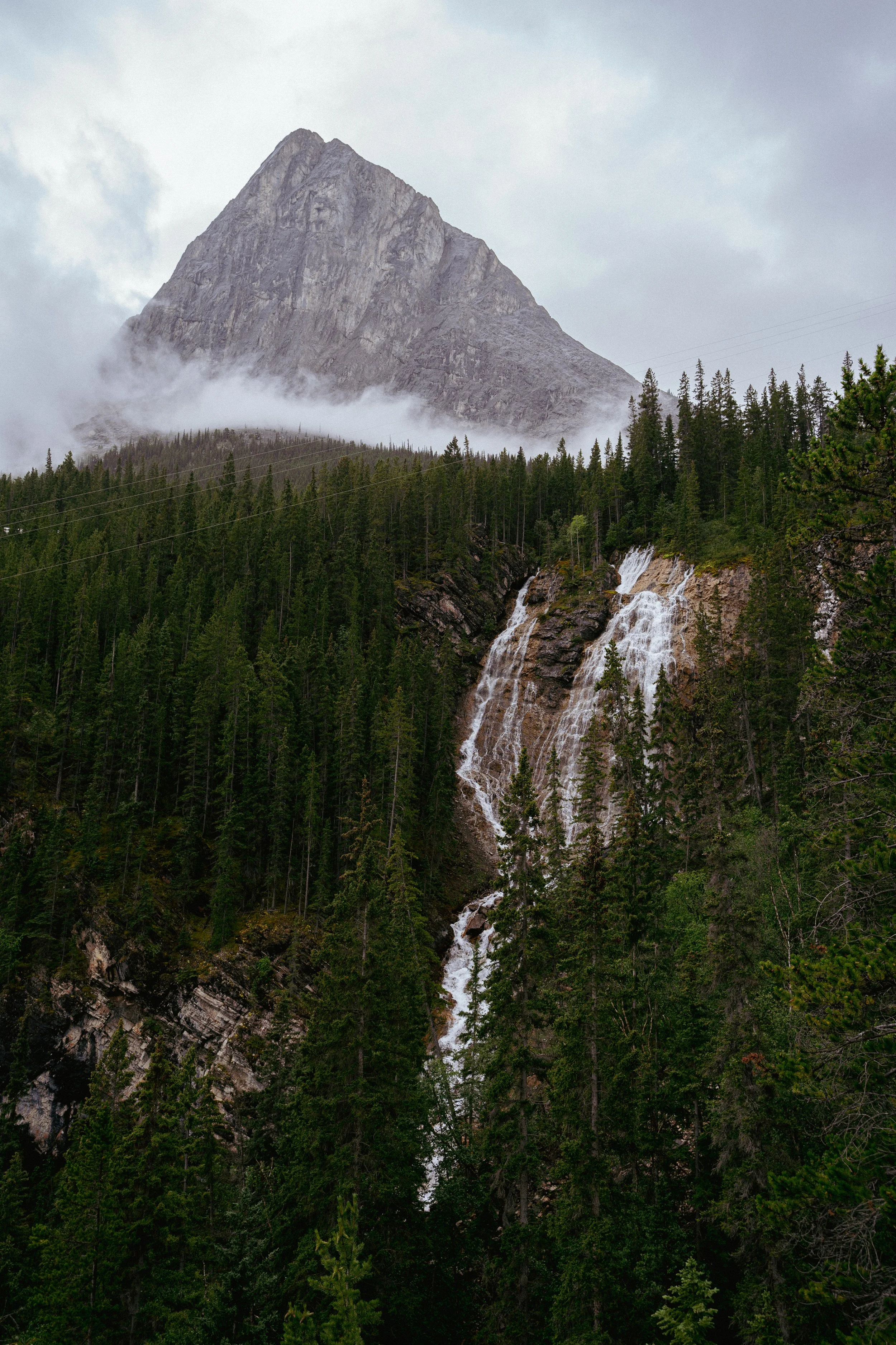 DSC05986.jpg