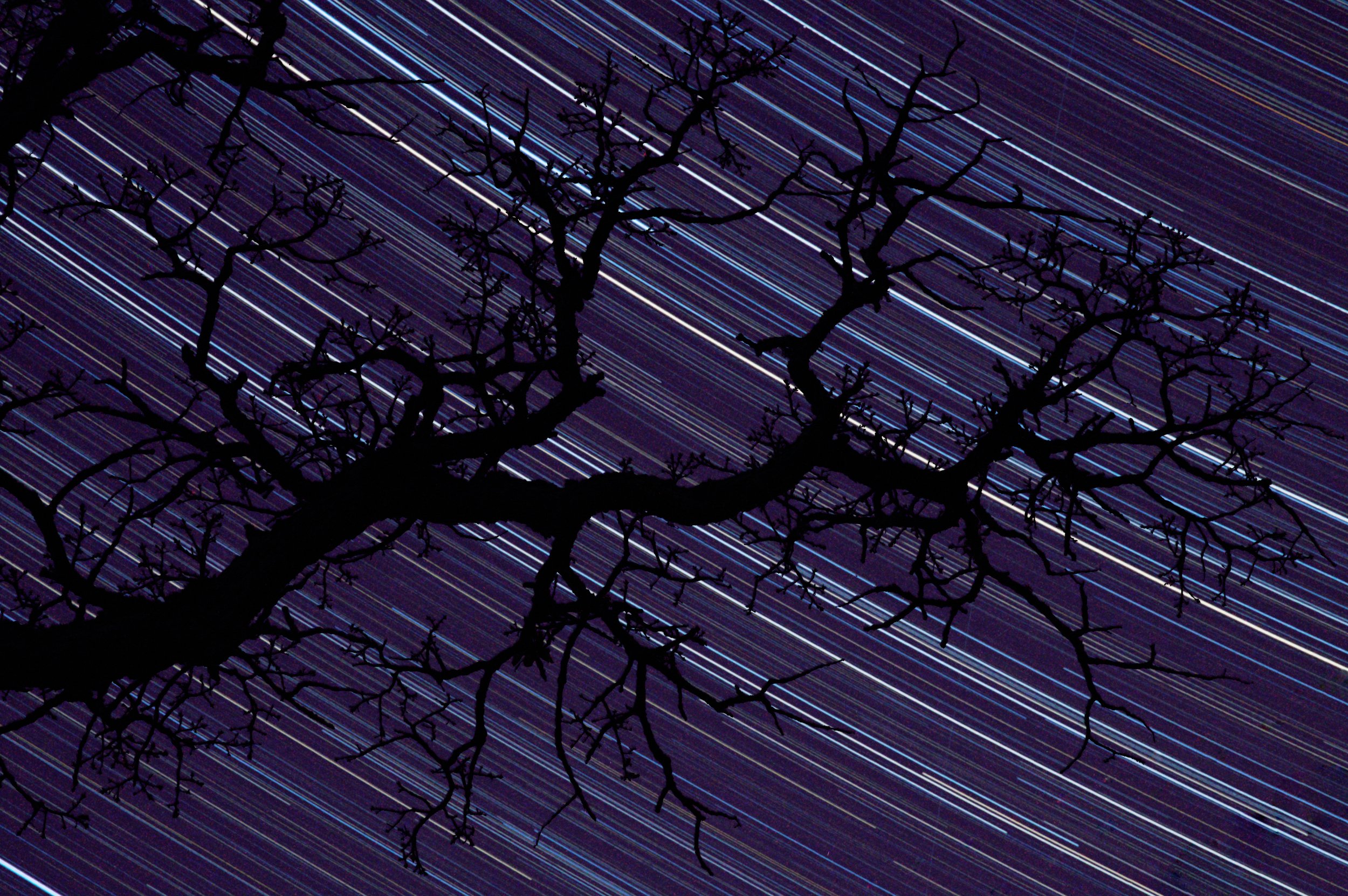 startrails FINAL cropped.jpeg