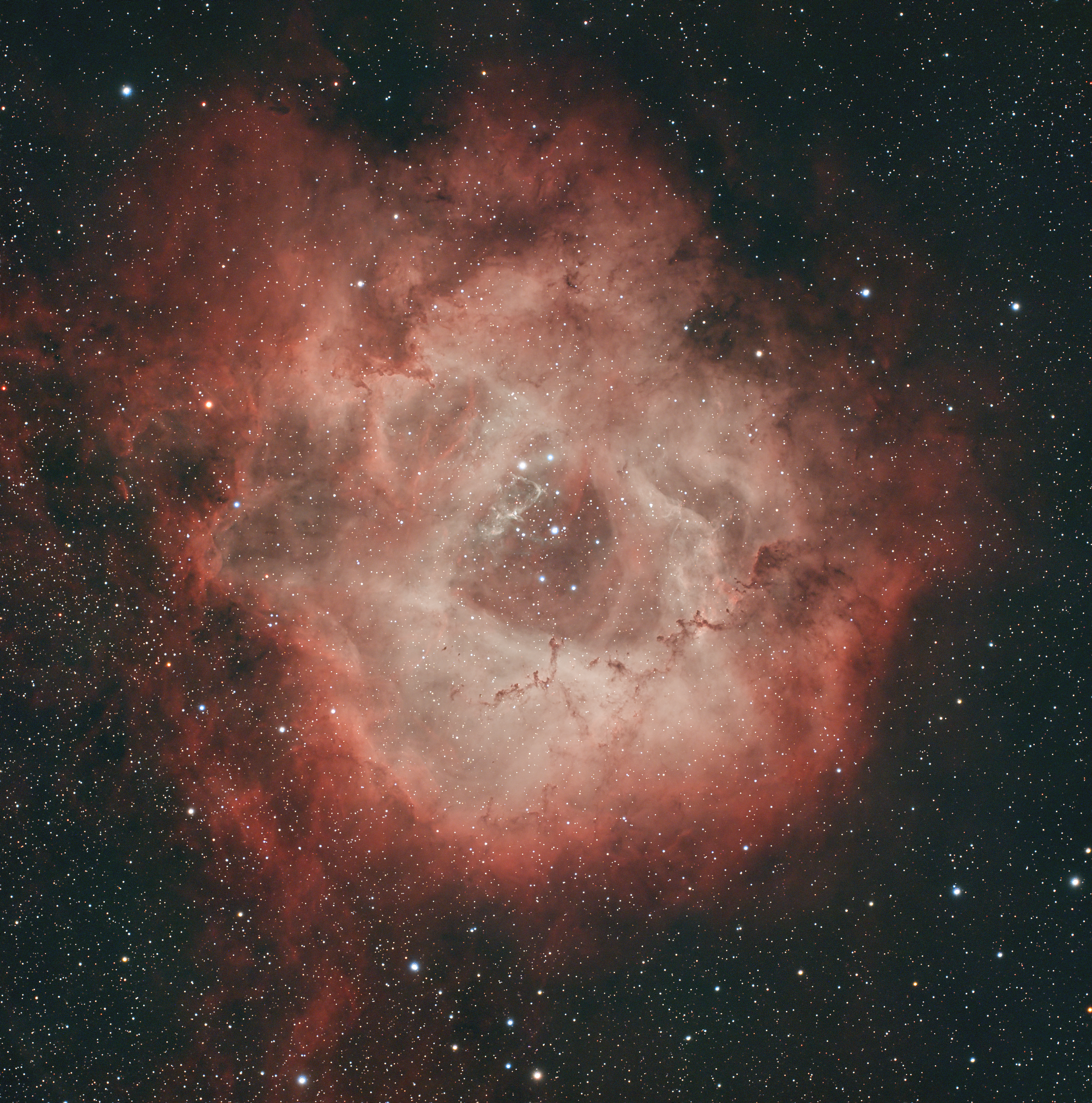 rosette2.png