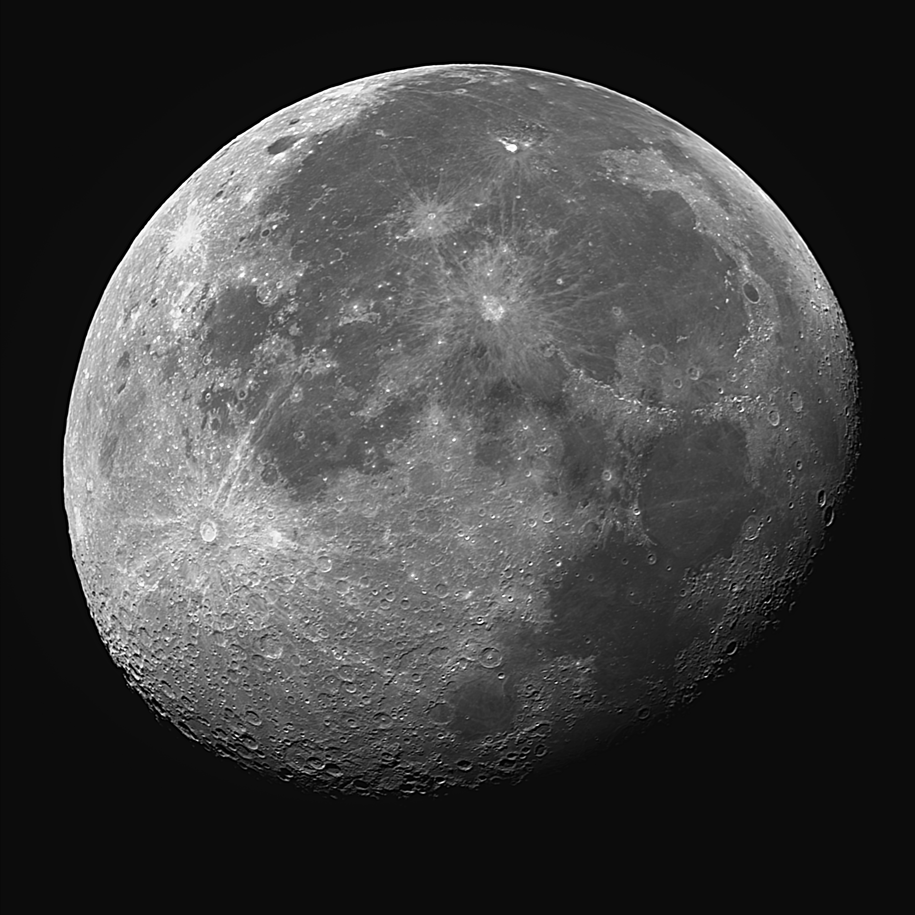 1-28-2024-Wholemoon-Mono2.png