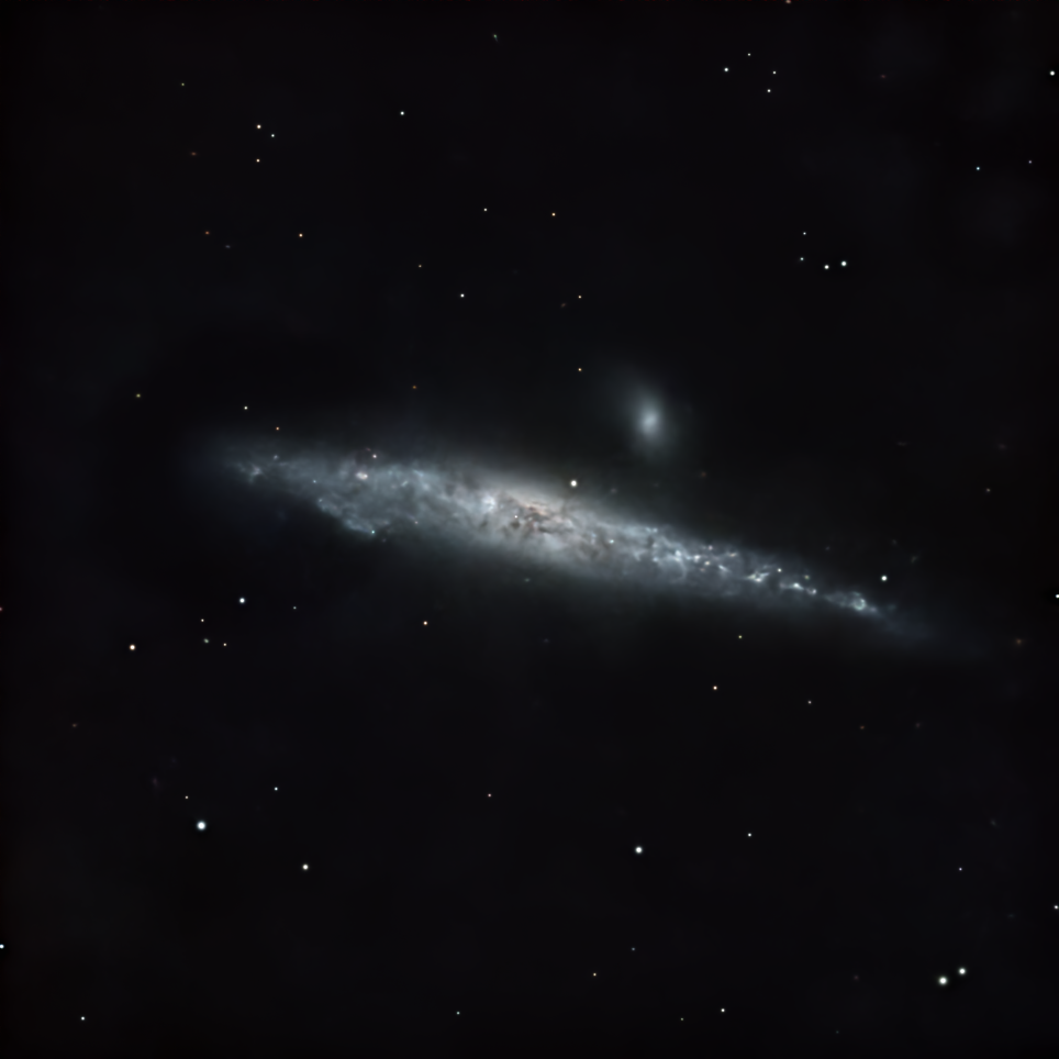 Whale Nebula