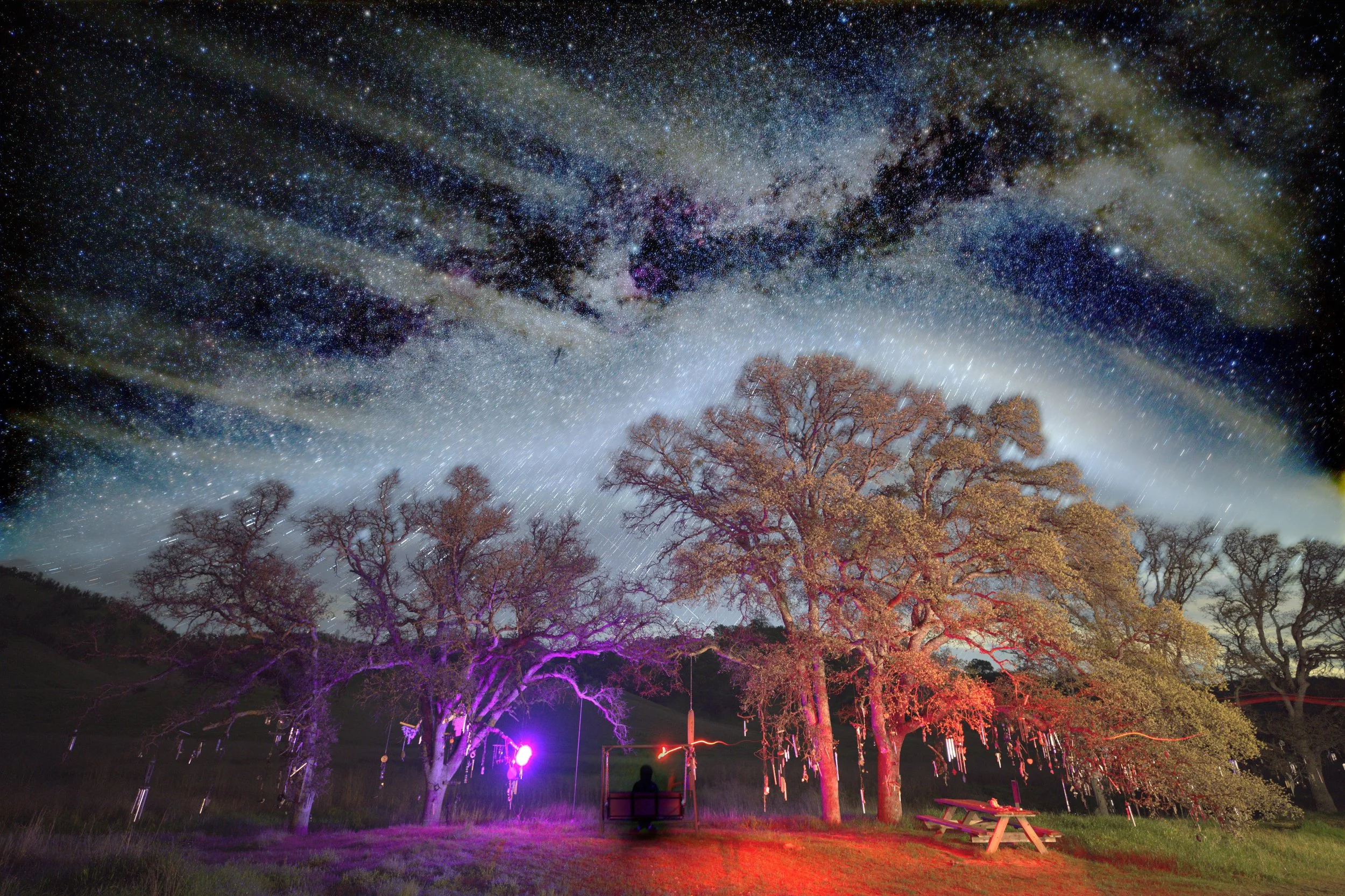 chimetrees-final2.jpeg